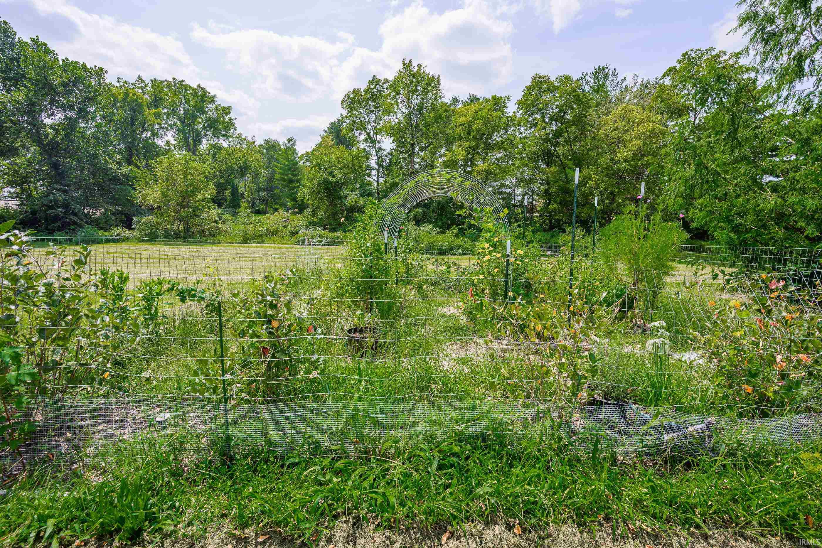 Fenced garden with a metal arch, abundant greenery, and mature trees behind it.