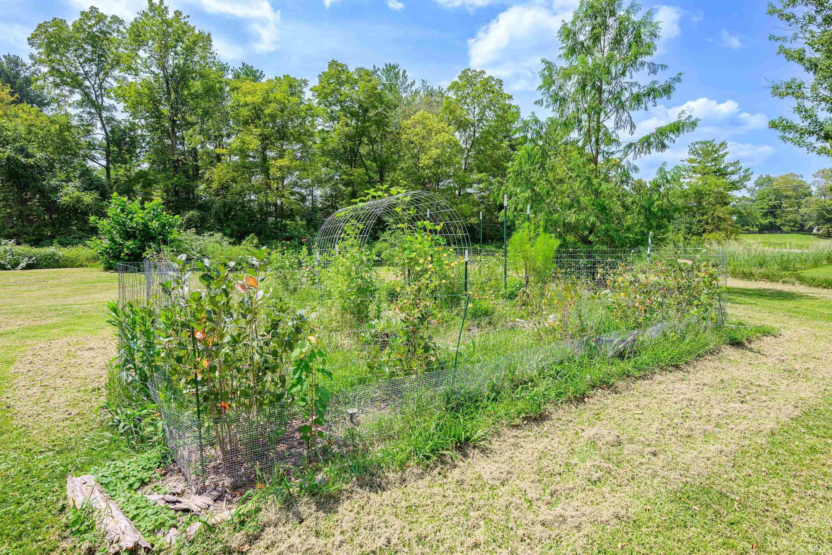 Fenced vegetable garden with an arched metal trellis in a grassy, tree-lined yard.
