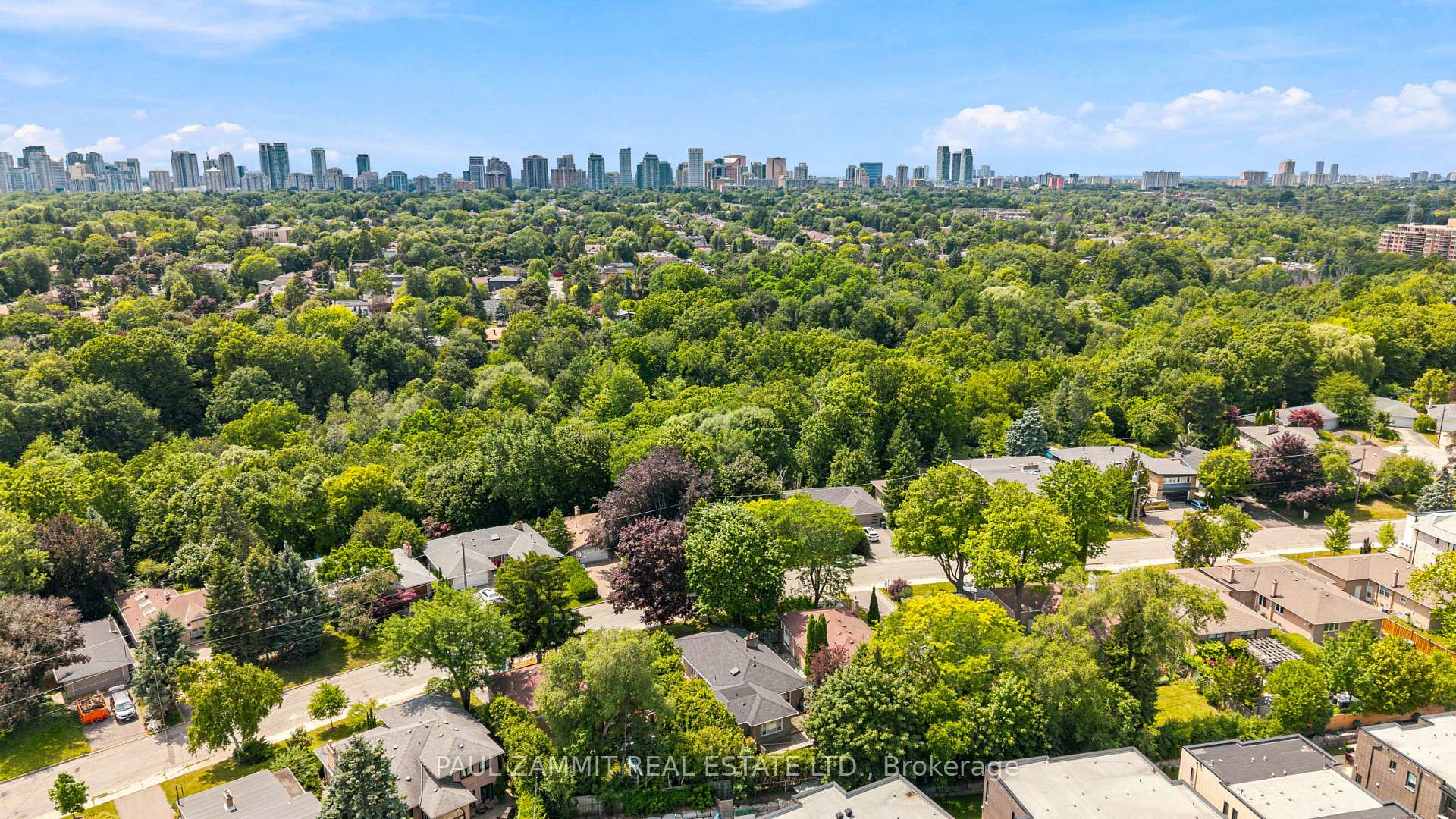 Aerial view of a leafy Toronto neighborhood with detached homes and the distant city skyline.