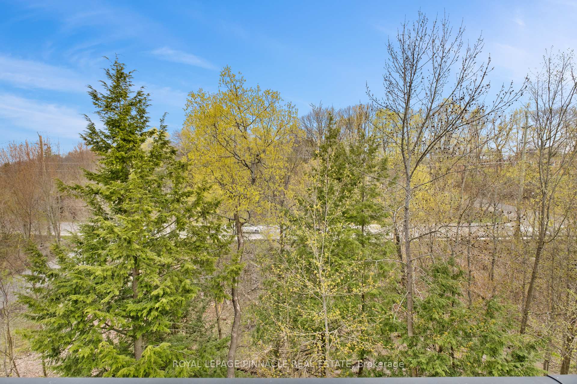 391 James Street W 404