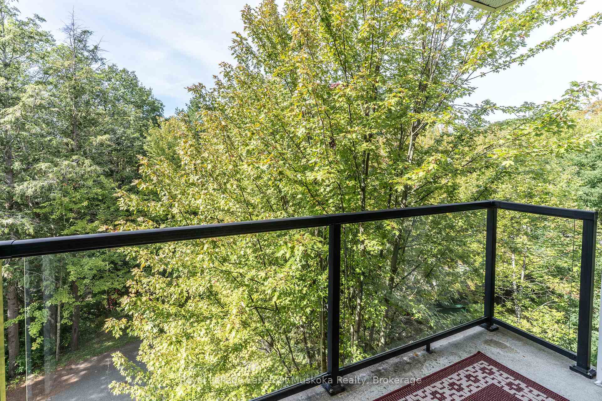 Condo balcony with glass railings overlooking leafy woodland, with a patterned rug on the floor.