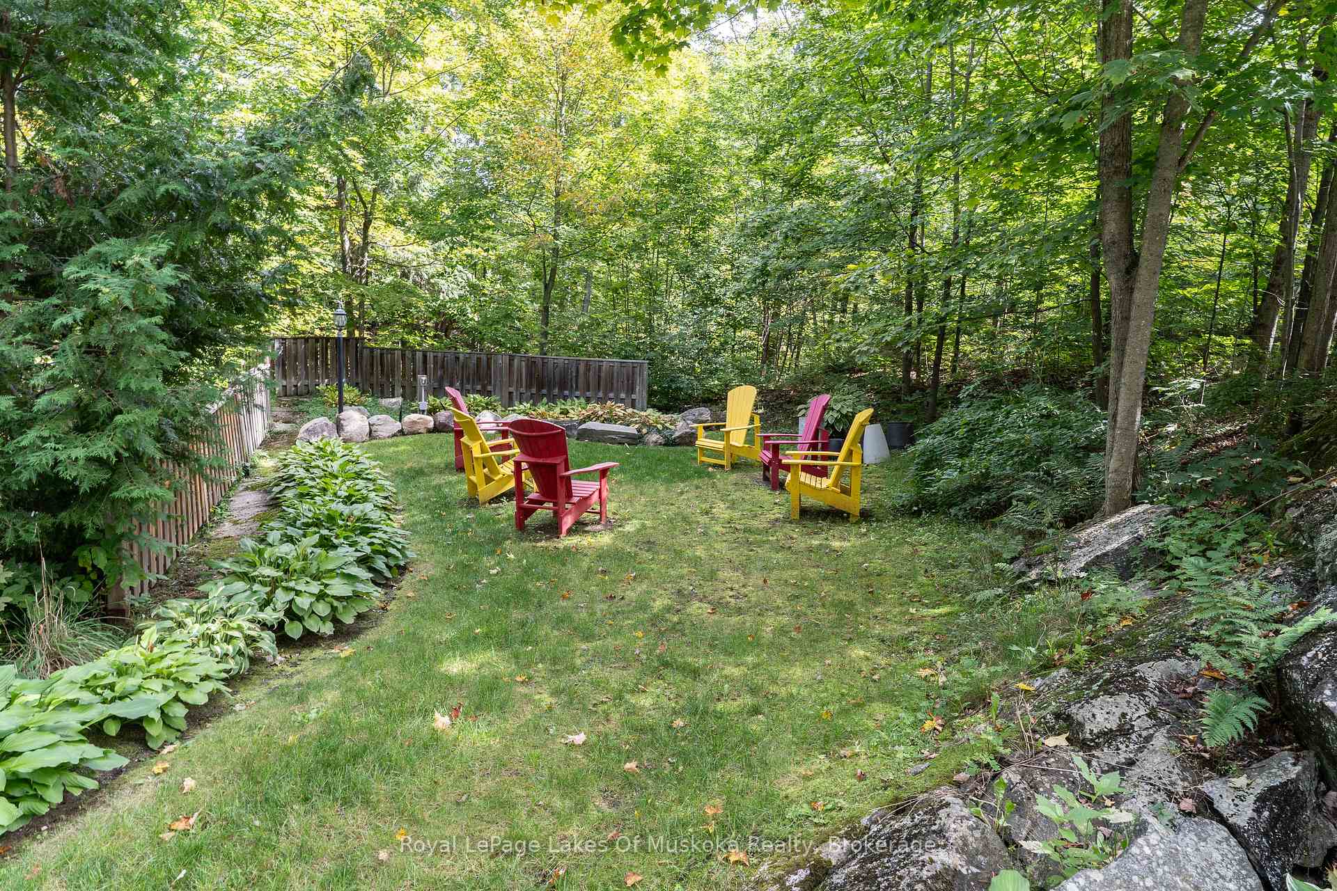 Wooded backyard with colorful Adirondack chairs arranged on a grassy clearing.