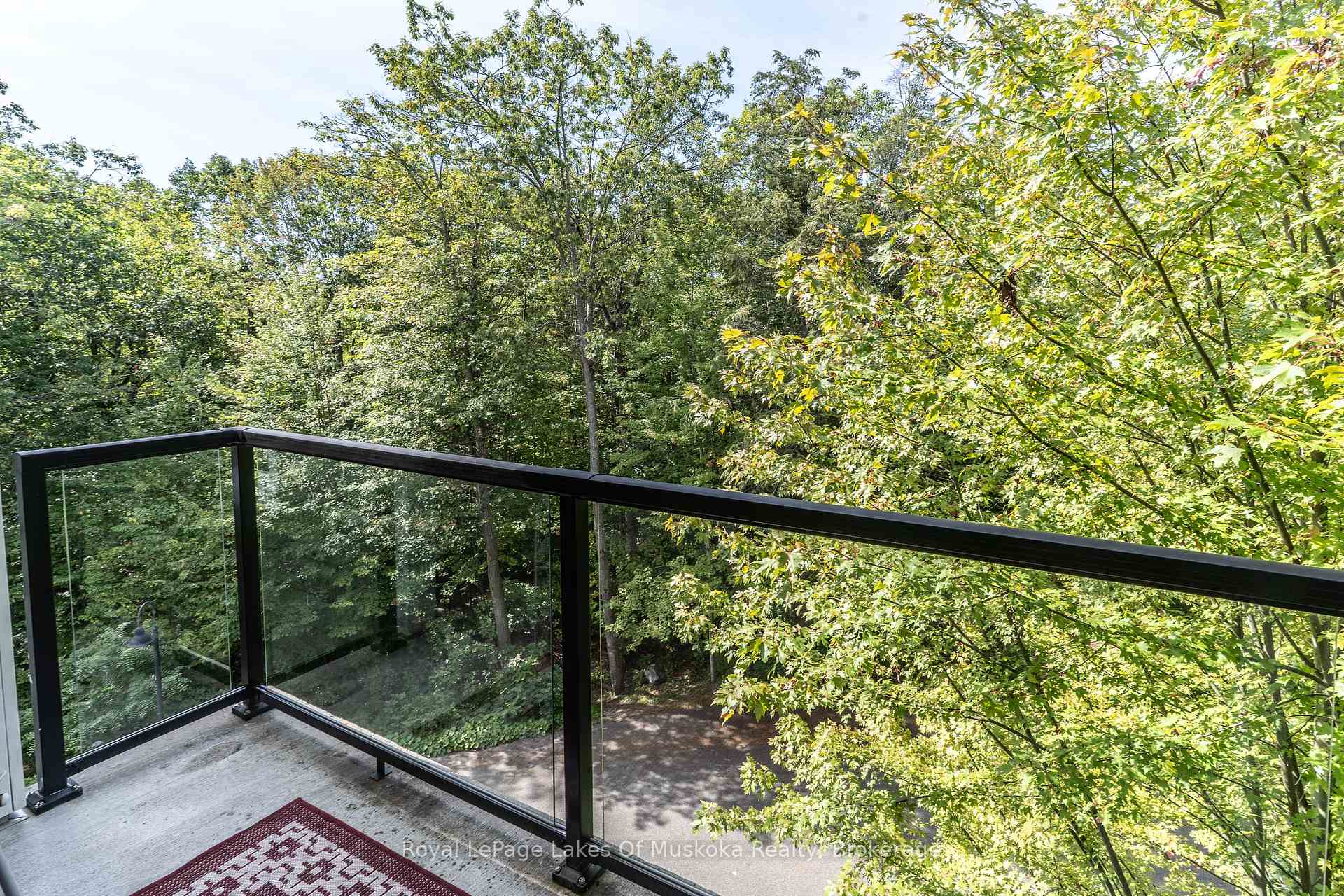 Balcony with glass railings overlooking leafy woodland.