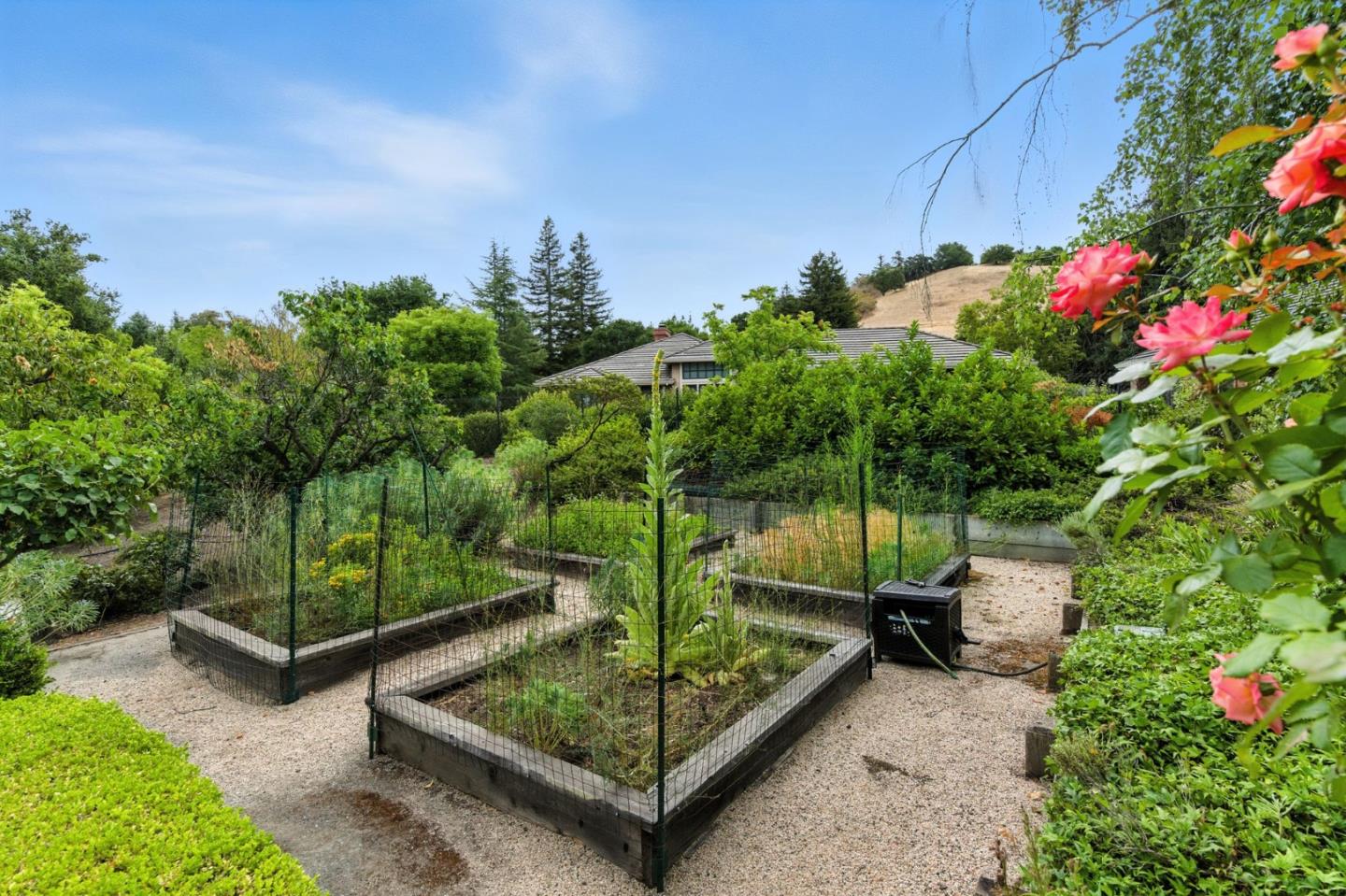 14210 Berry Hill Court