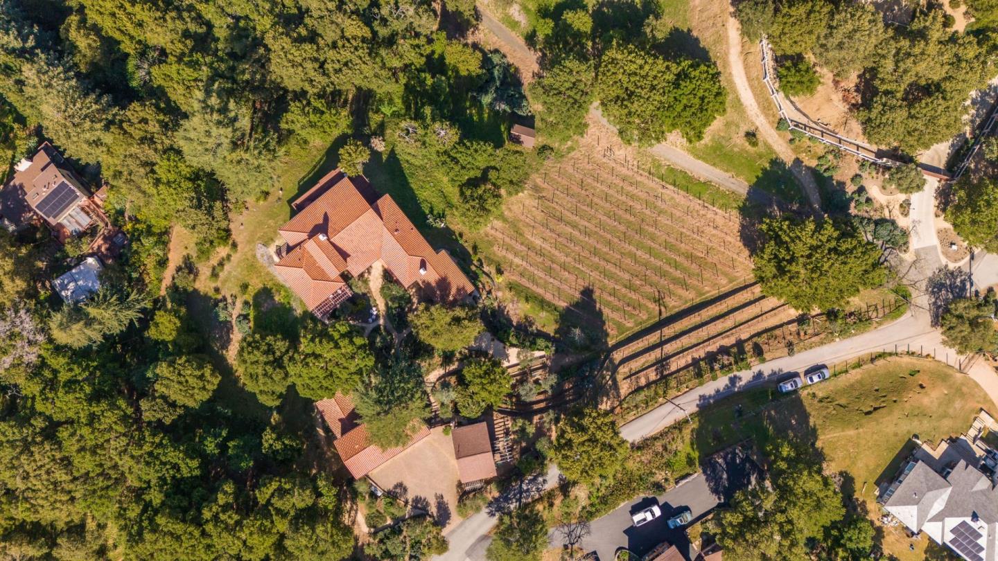 11571 Buena Vista DR