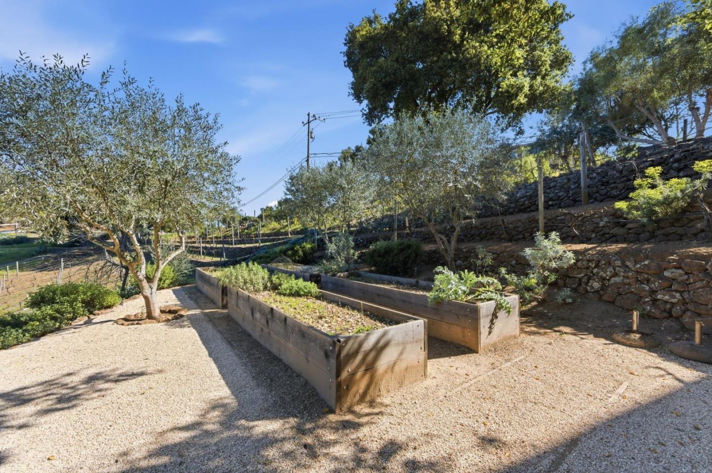 11571 Buena Vista DR
