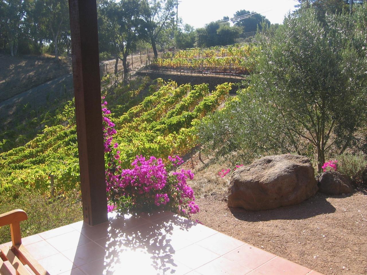 11571 Buena Vista DR