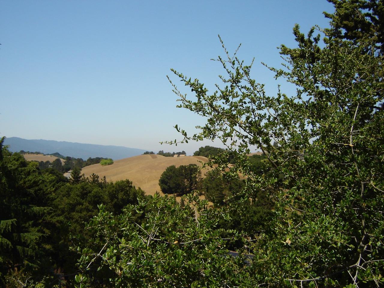 11571 Buena Vista DR