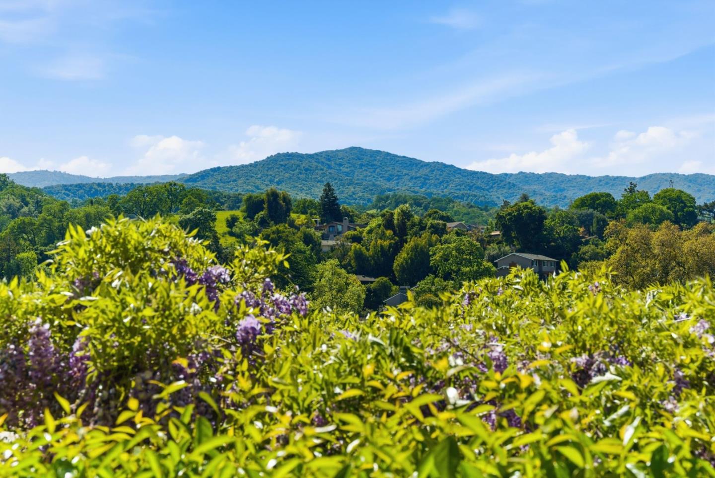 6915 Castlerock Drive