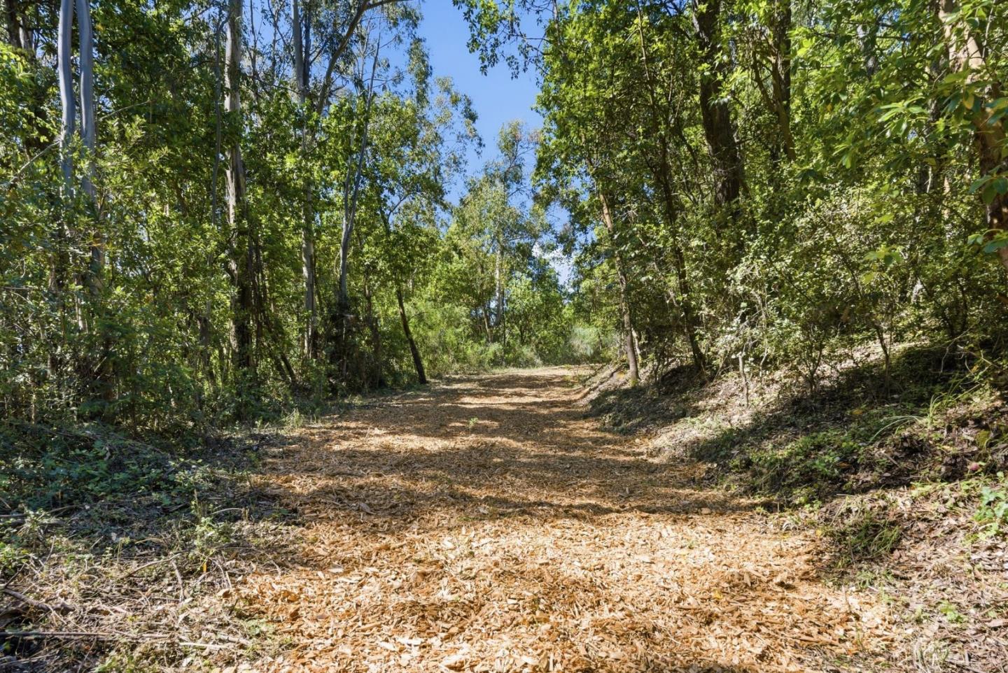 00000 Page Mill Road