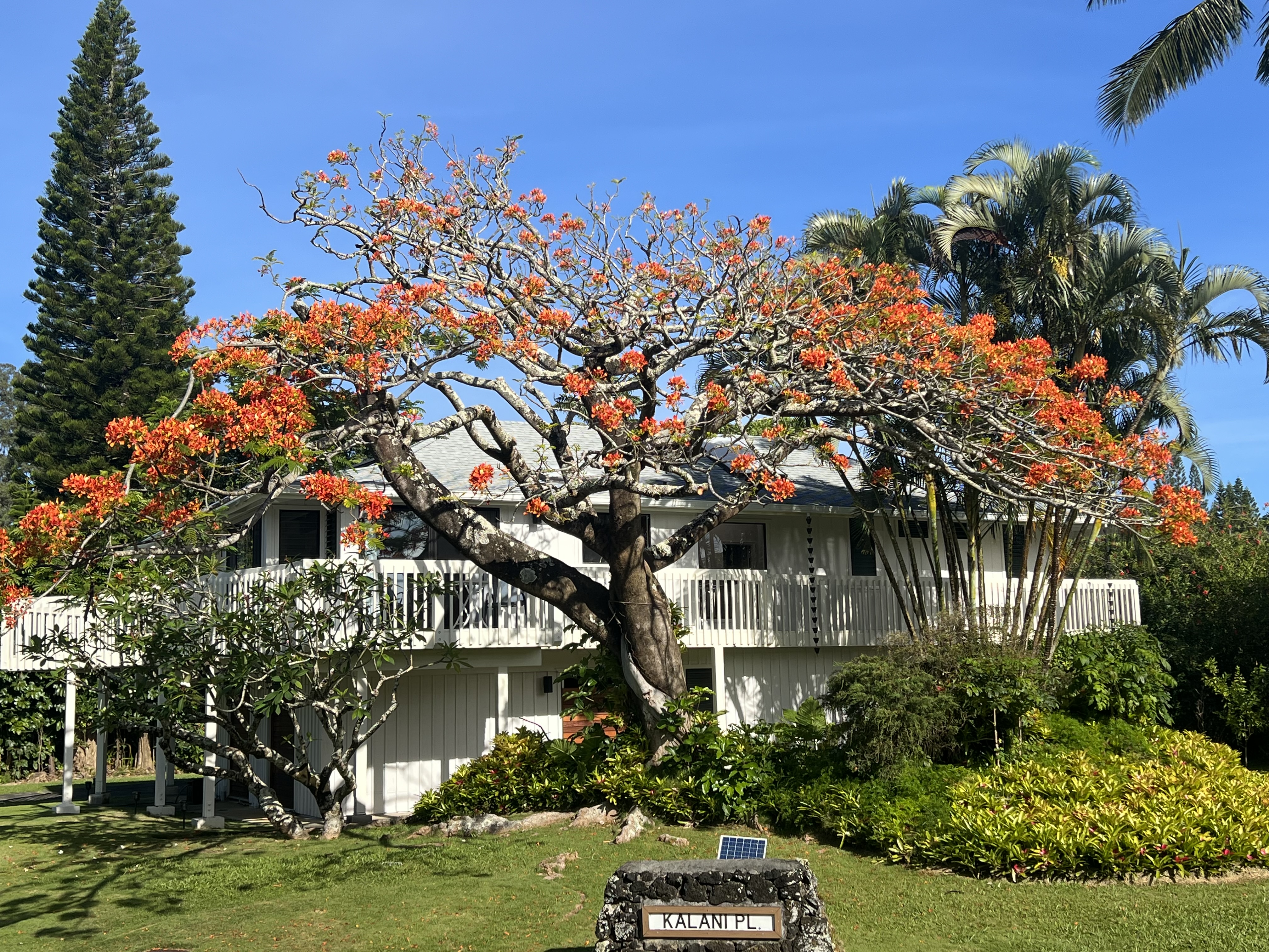 4160 KALANI PL