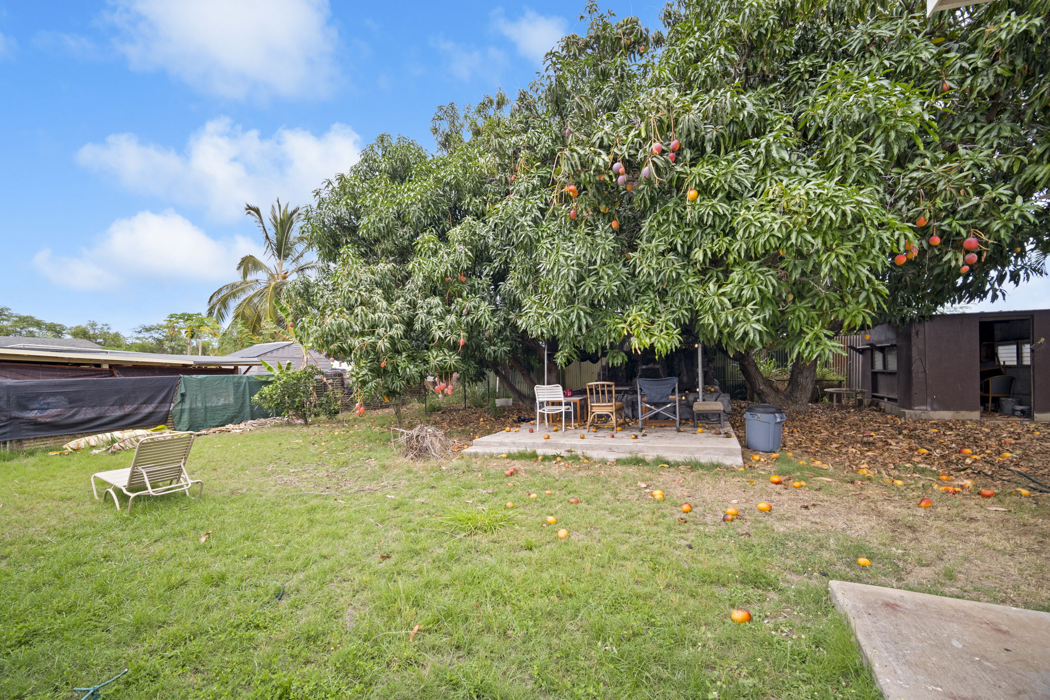 7786 ULILI RD