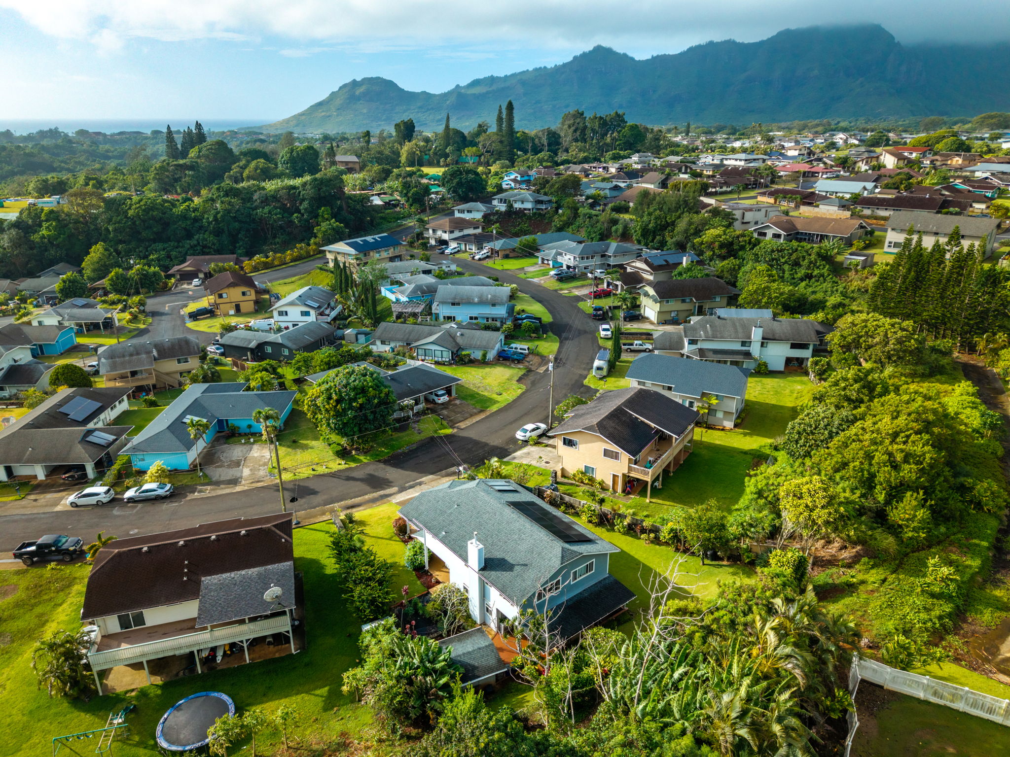 2899 AUKOI ST
