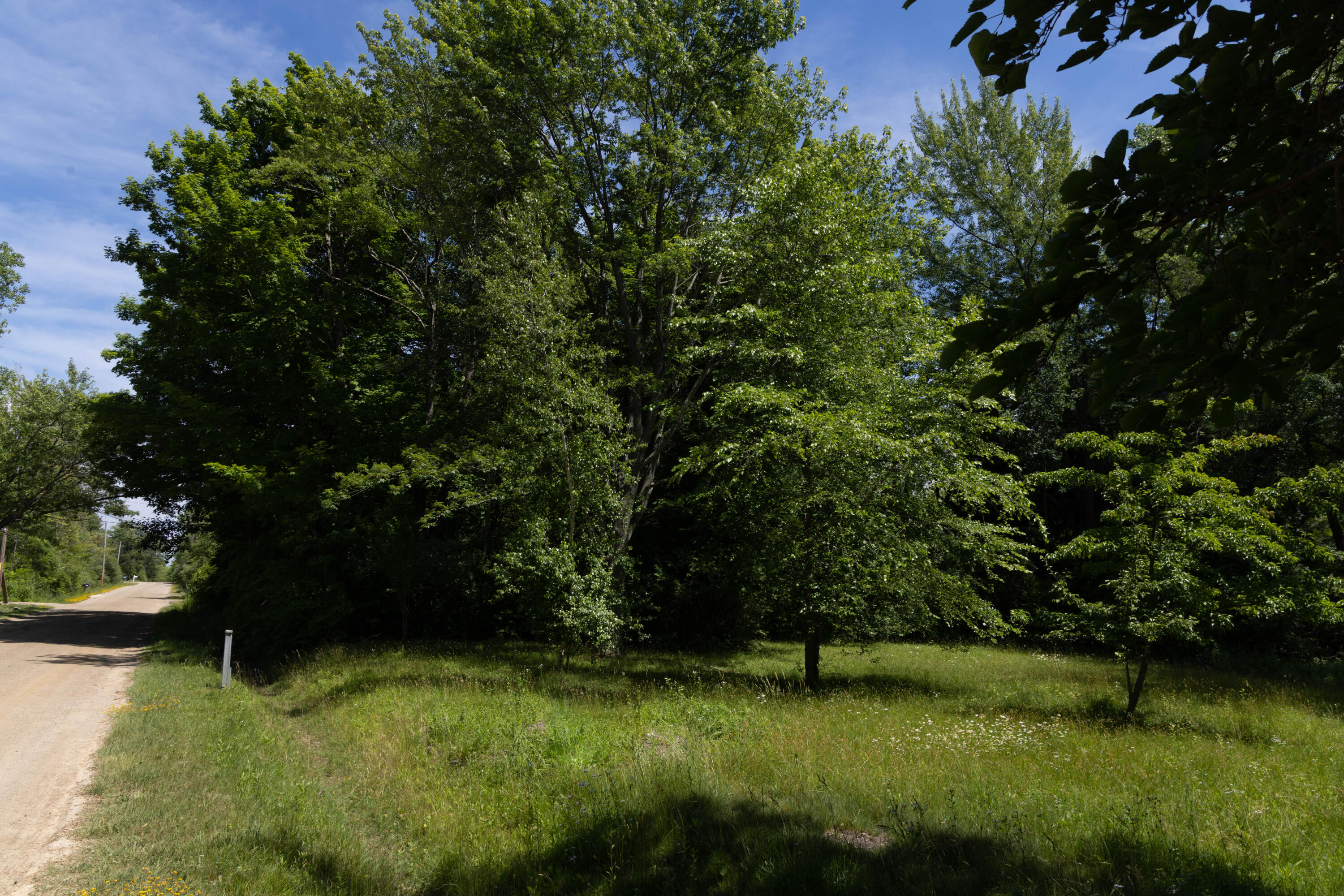 7258 Atlantic Avenue