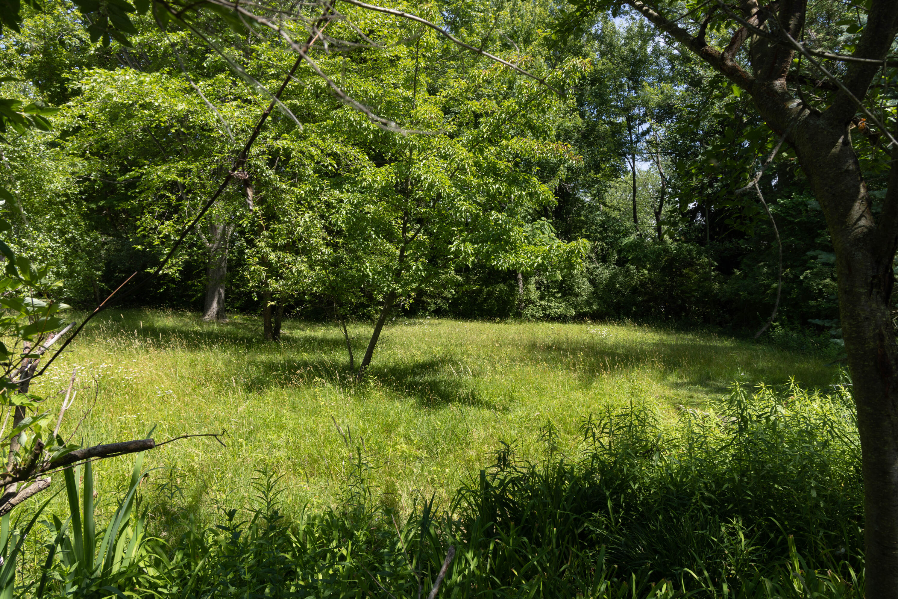 7258 Atlantic Avenue