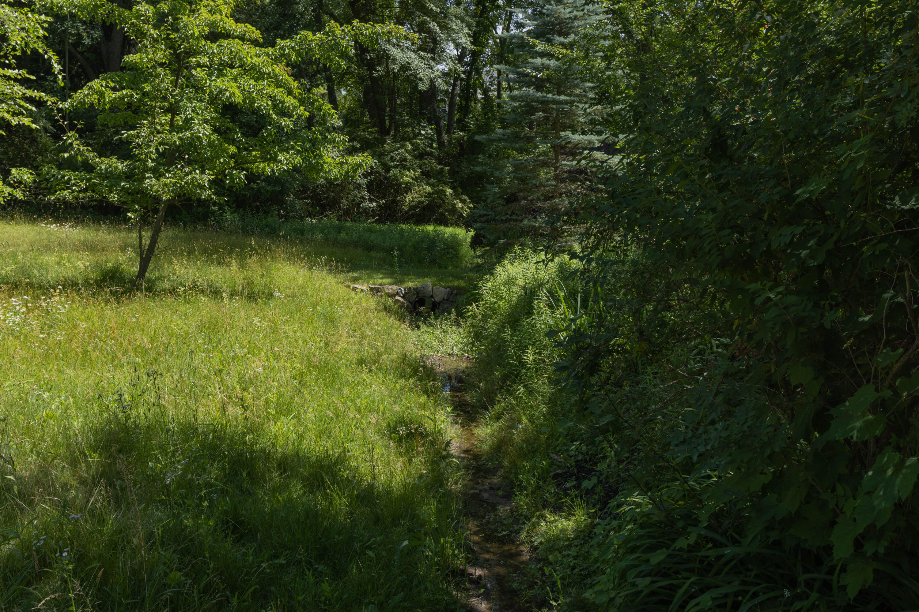 7258 Atlantic Avenue