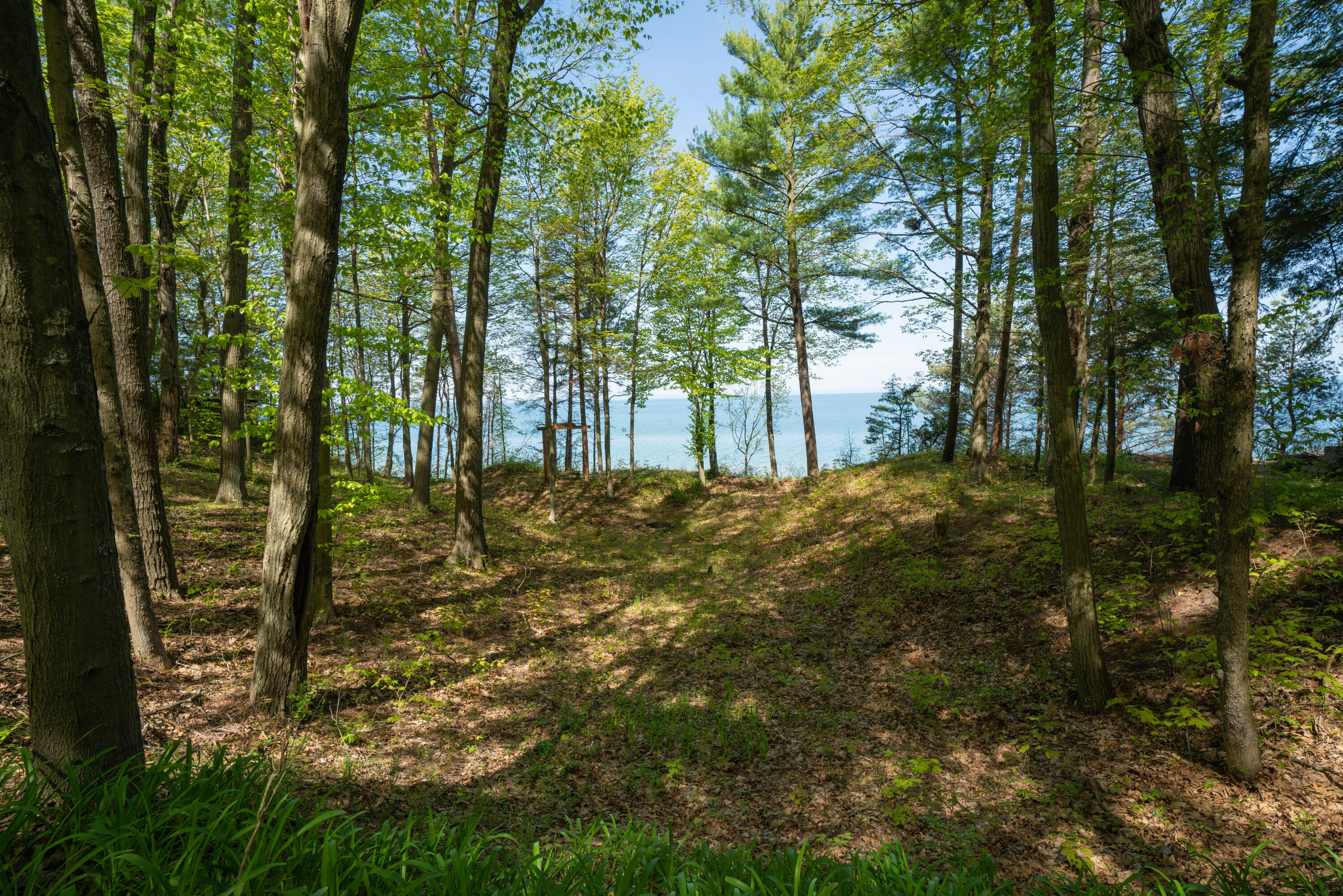 35446 Blue Star Highway