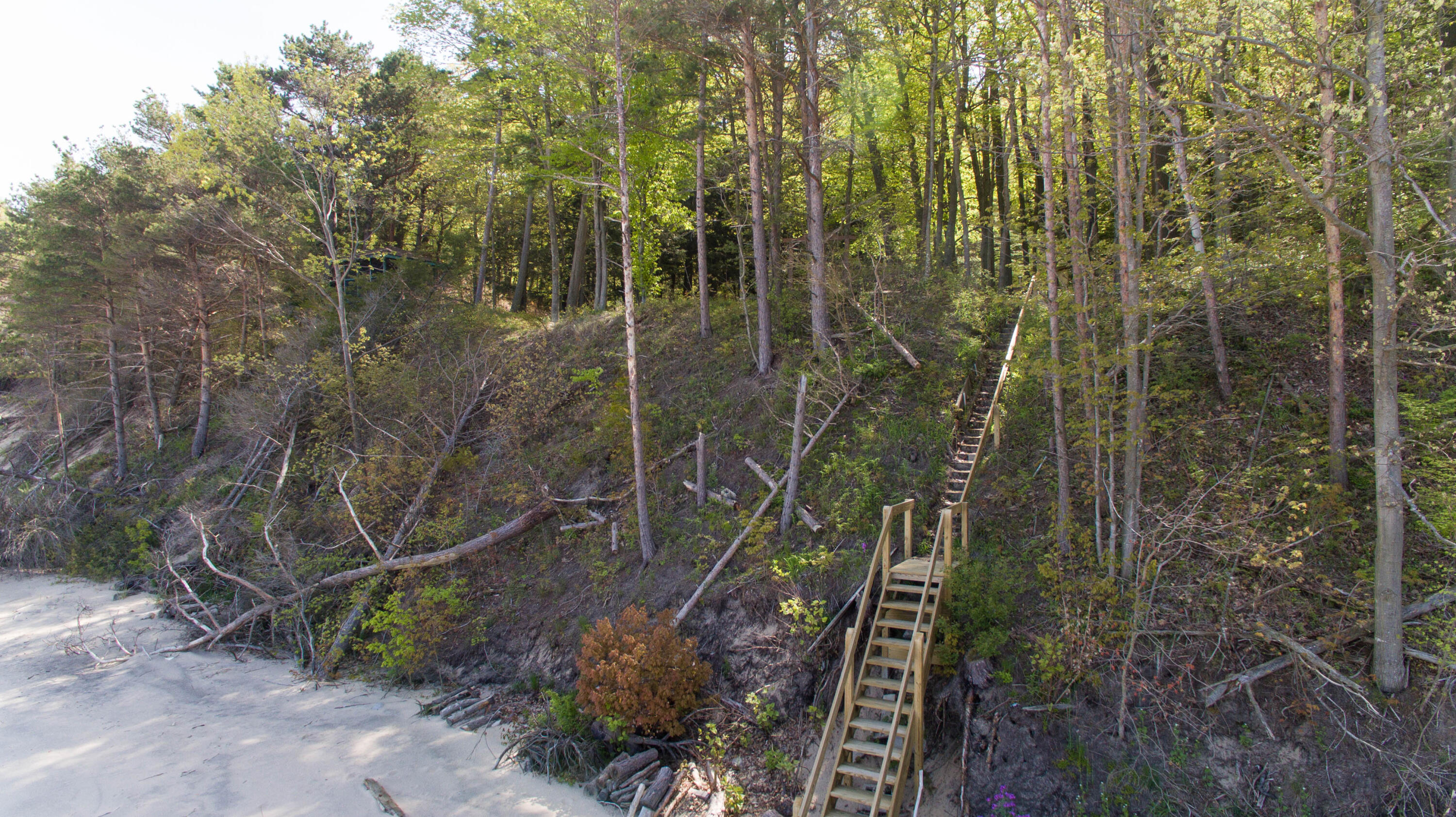 35446 Blue Star Highway