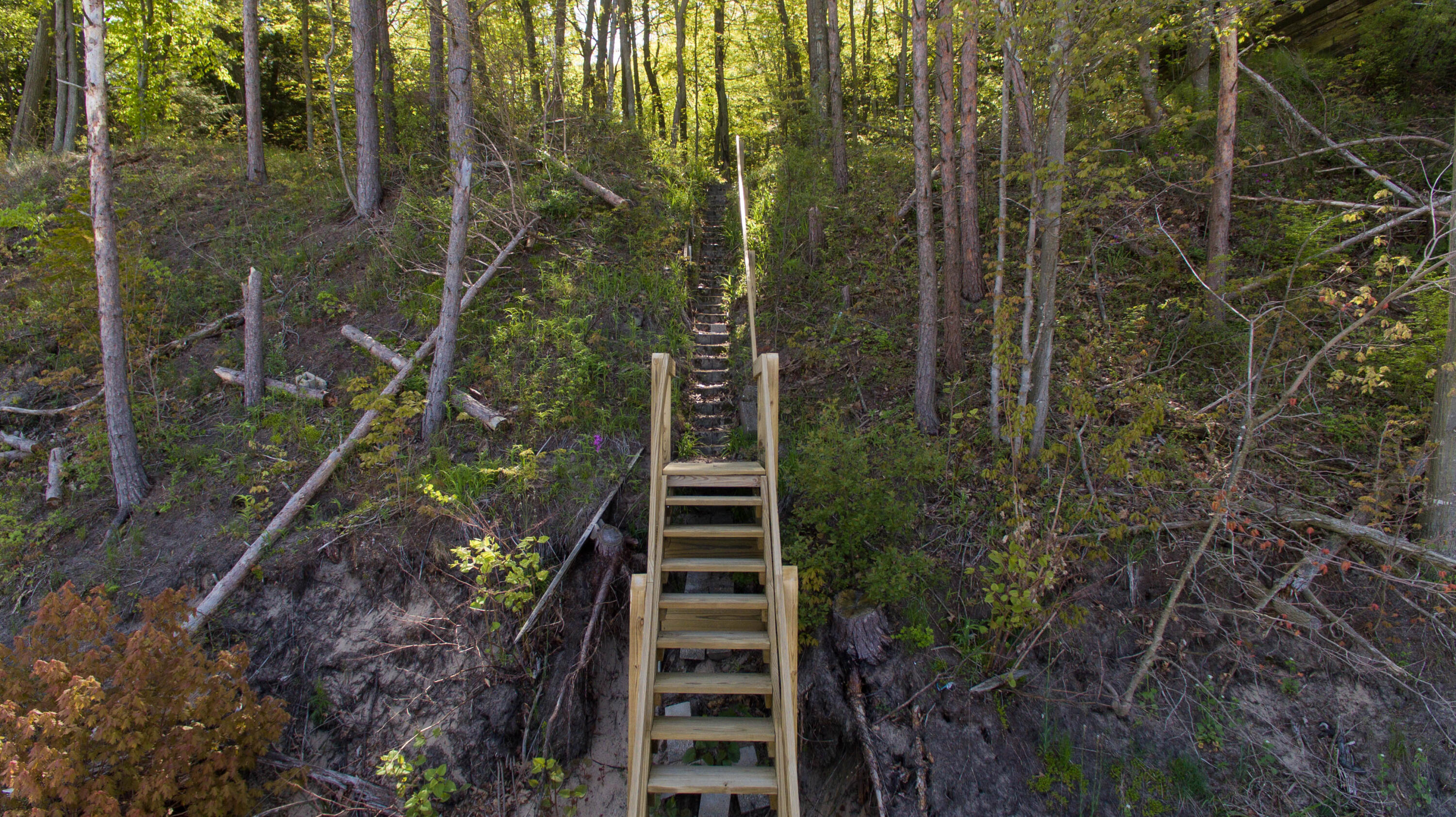 35446 Blue Star Highway