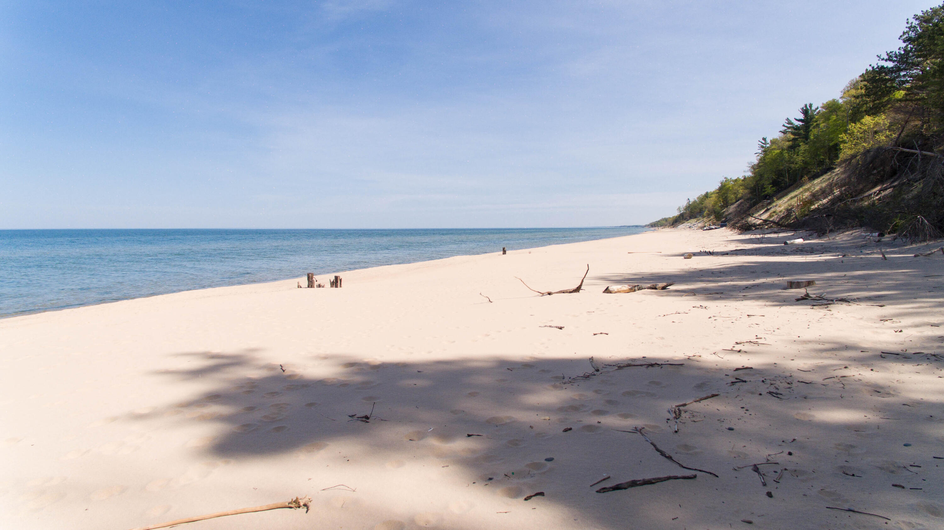 35446 Blue Star Highway