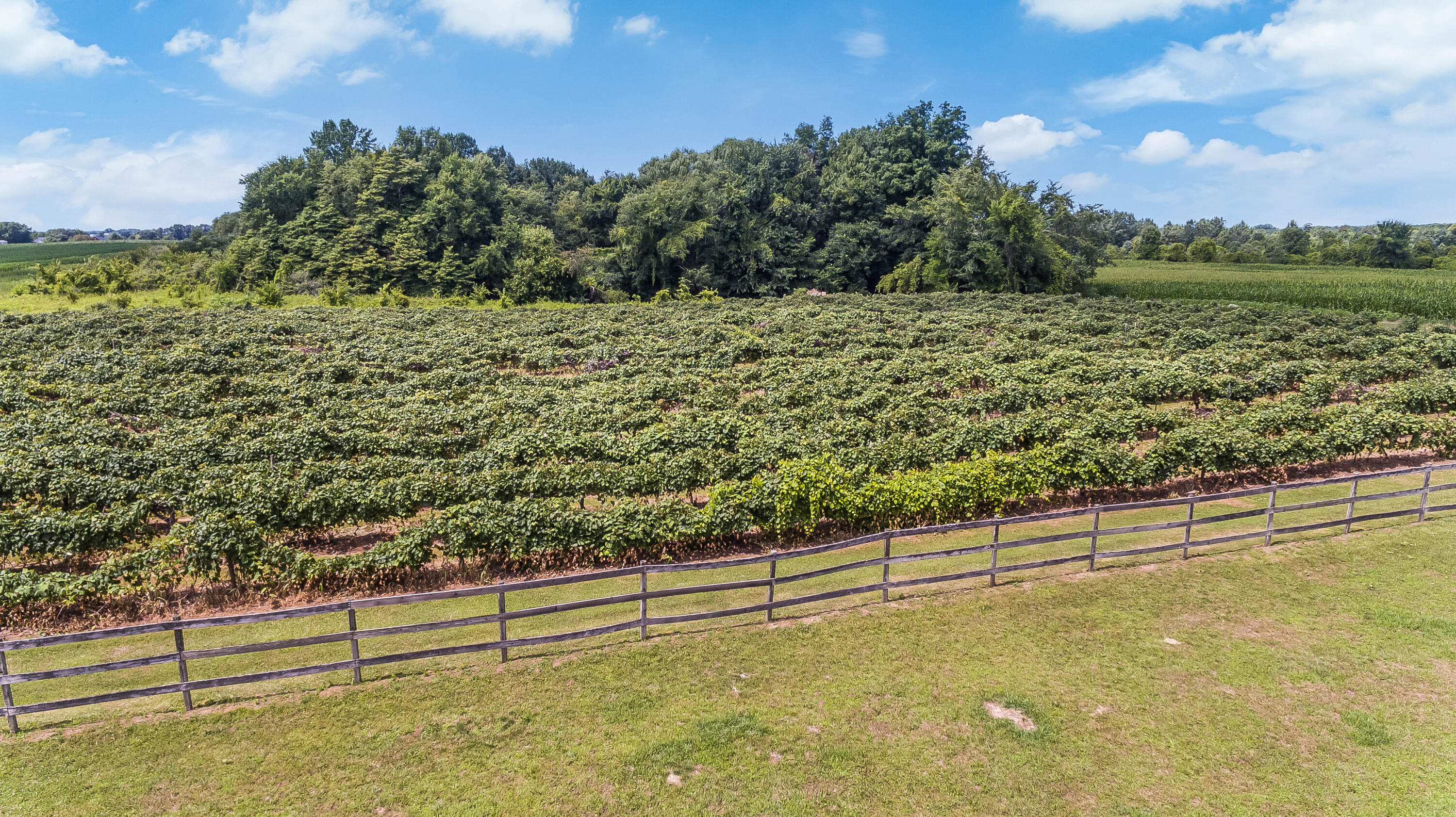 6304 S Scottdale Road