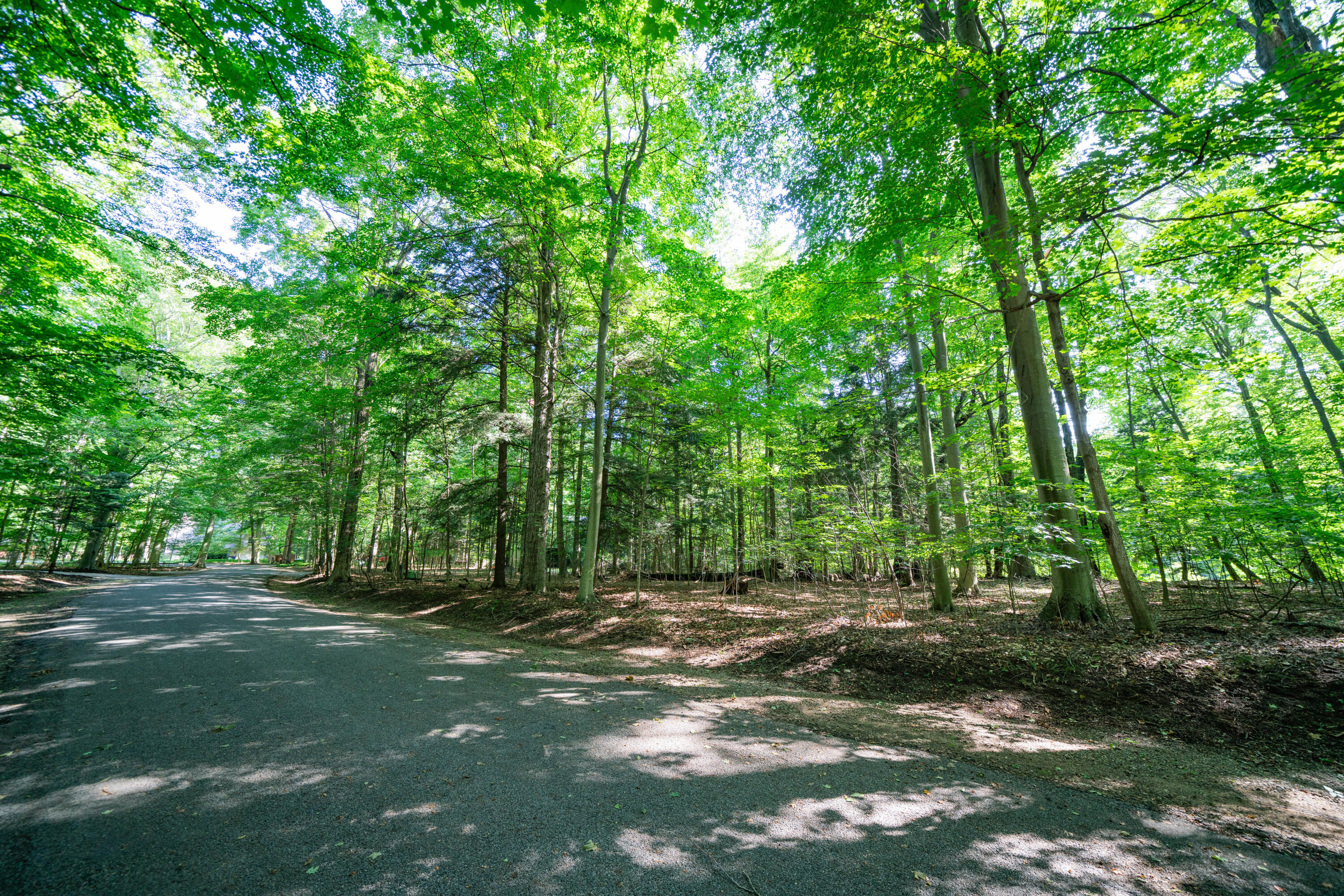 VL Sassafras Drive, Lot 28