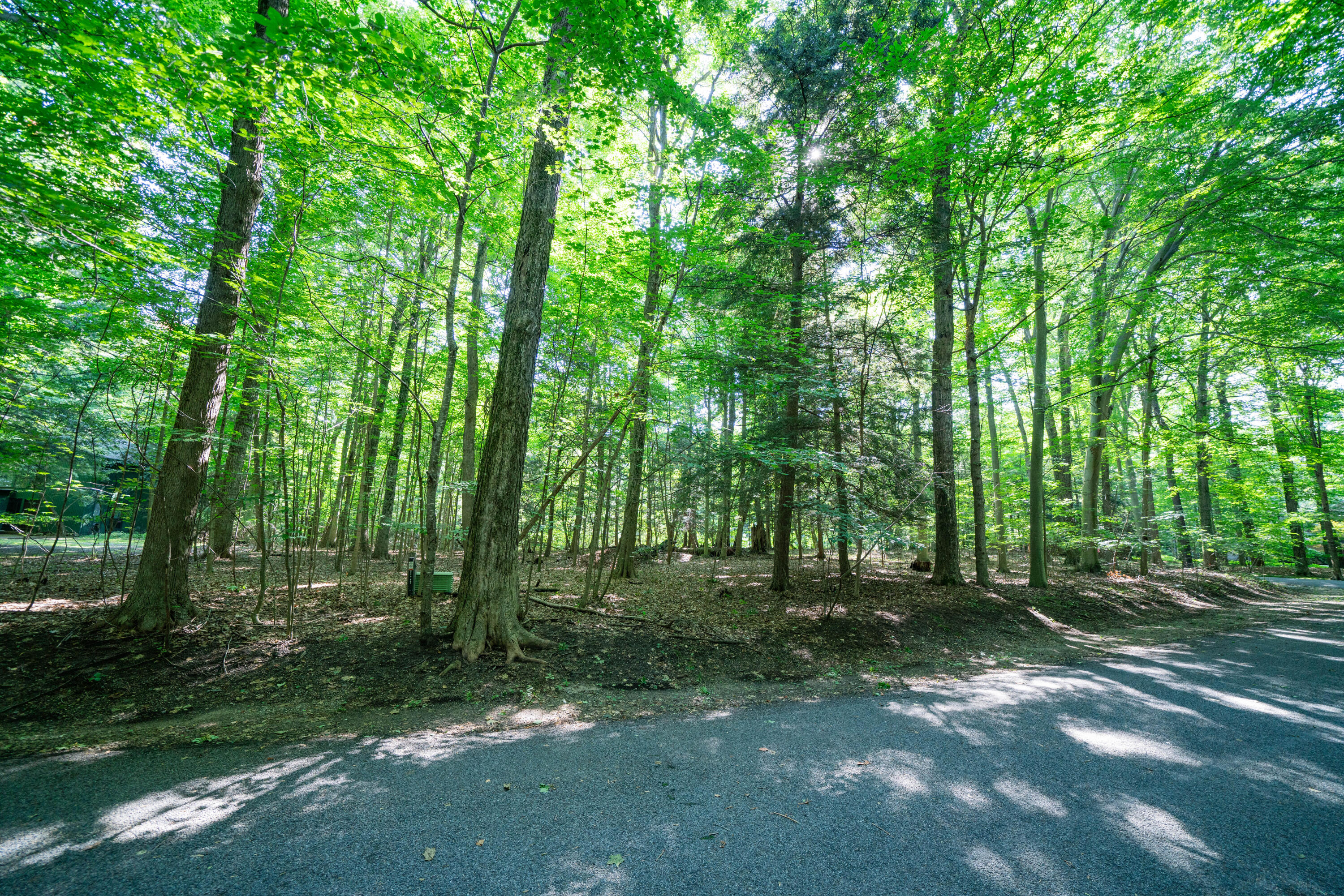 VL Sassafras Drive, Lot 28