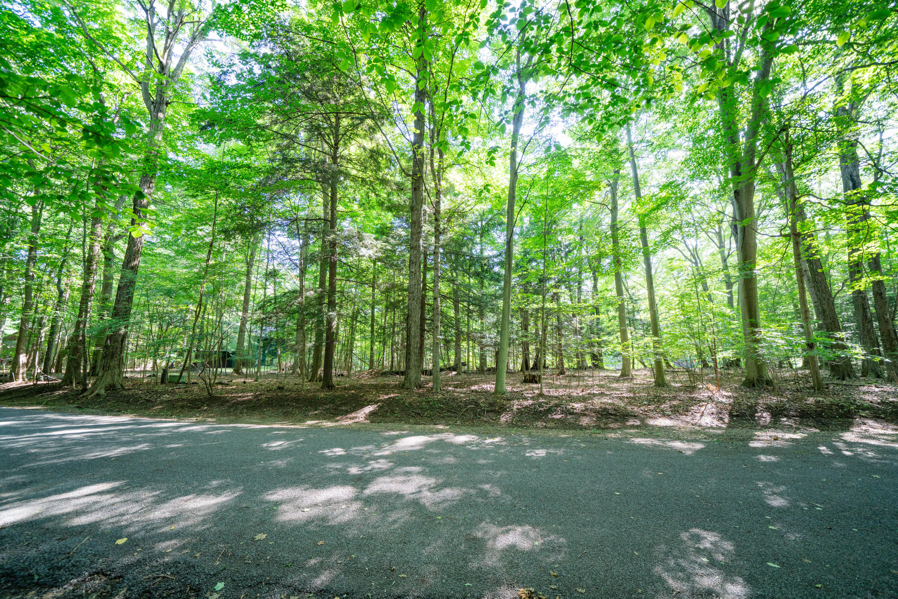 VL Sassafras Drive, Lot 28