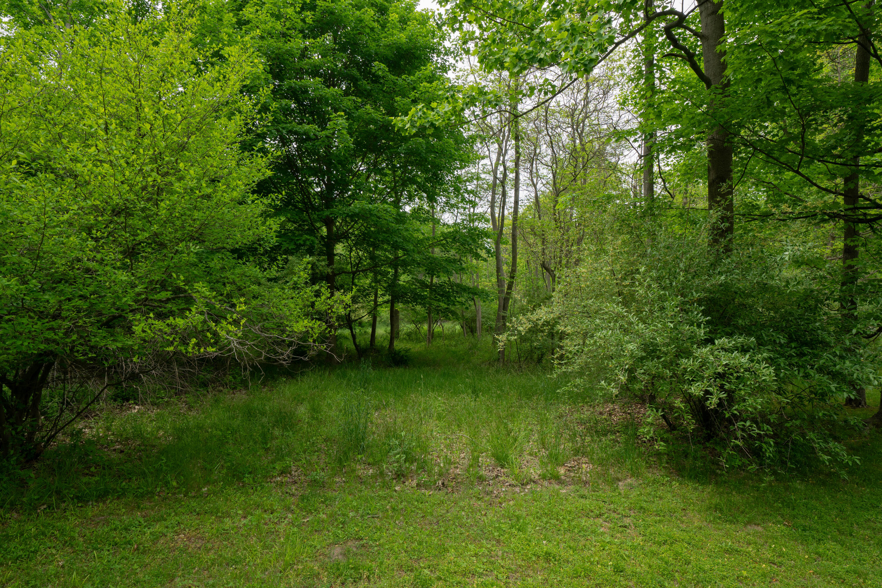 7070 Glenn Oaks Drive