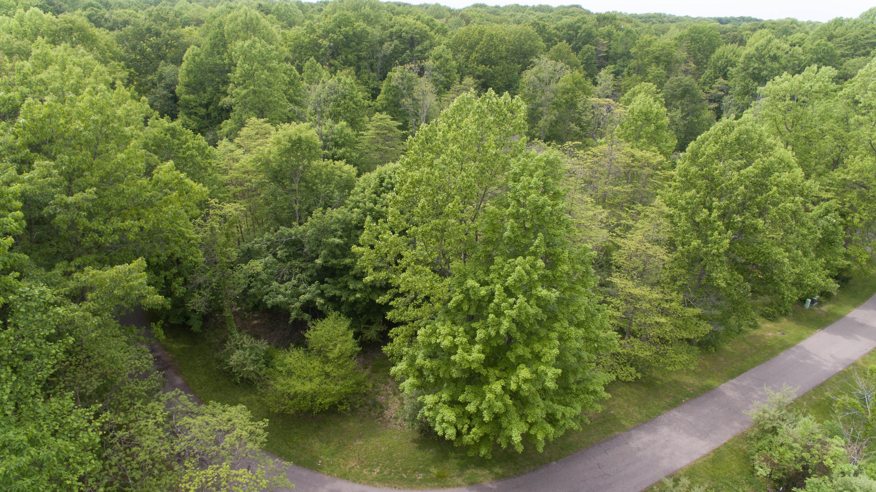 7070 Glenn Oaks Drive