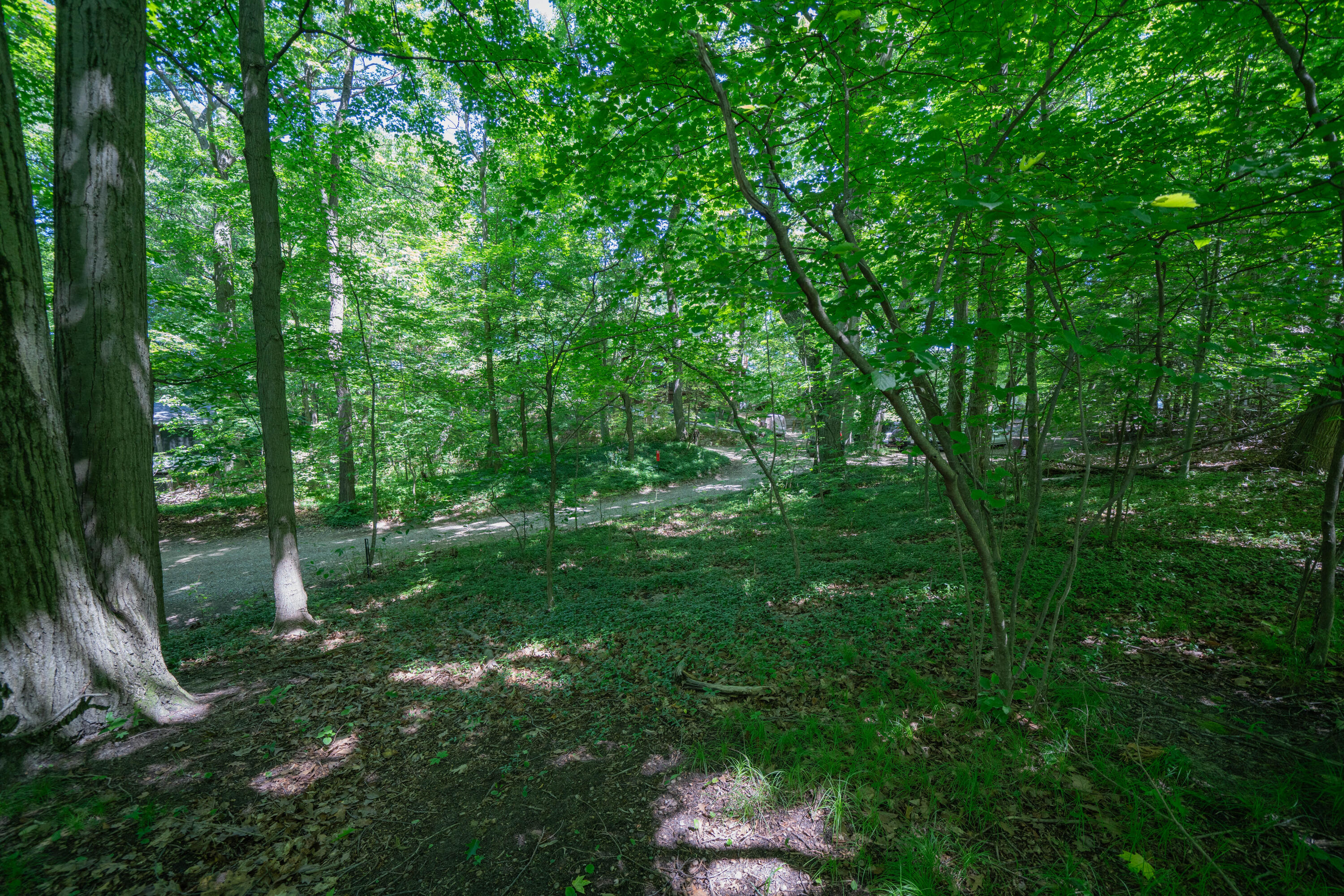 VL Ramblewood Circle