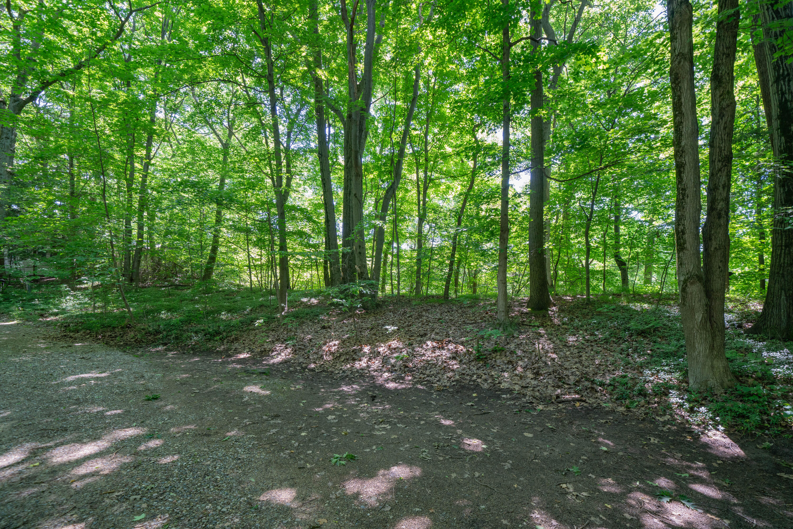 VL Ramblewood Circle