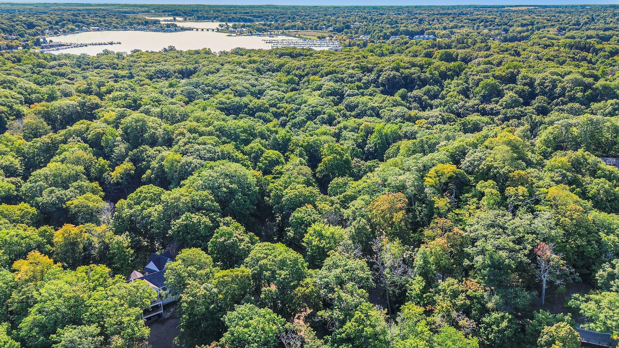 345 Dunegrass Ridge Drive