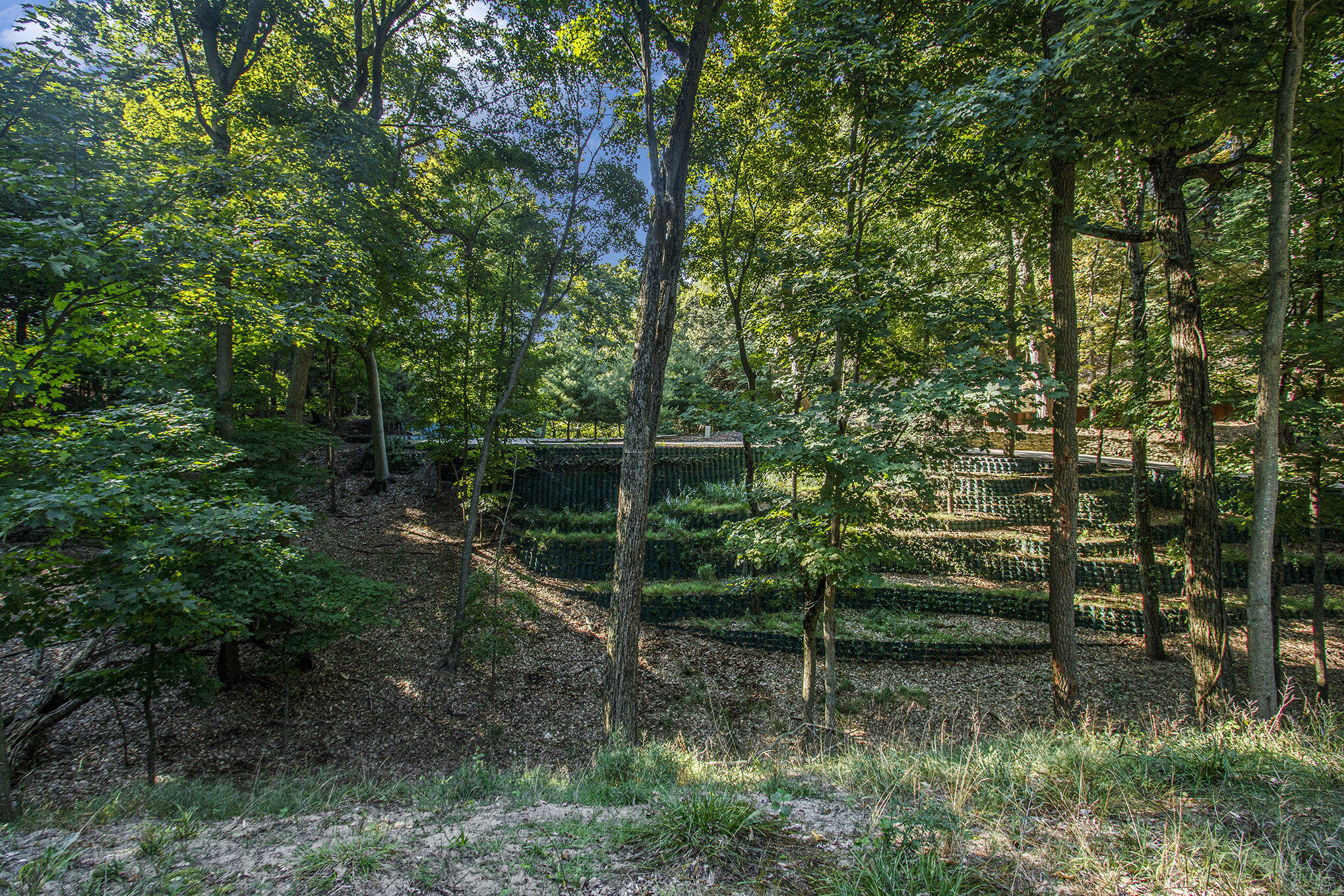 345 Dunegrass Ridge Drive