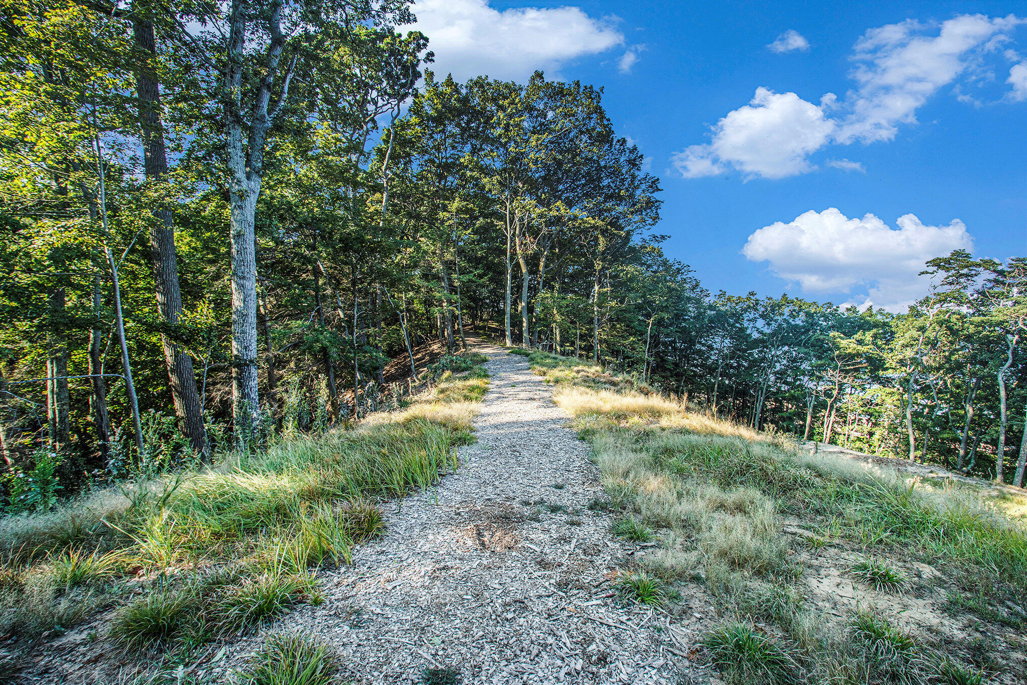 345 Dunegrass Ridge Drive