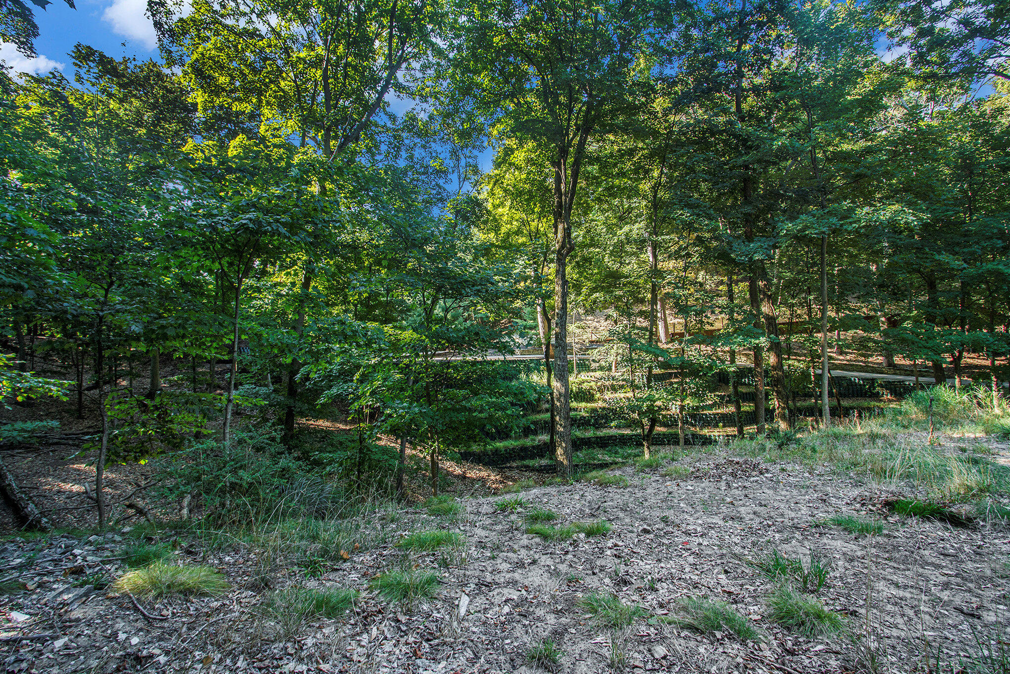 345 Dunegrass Ridge Drive