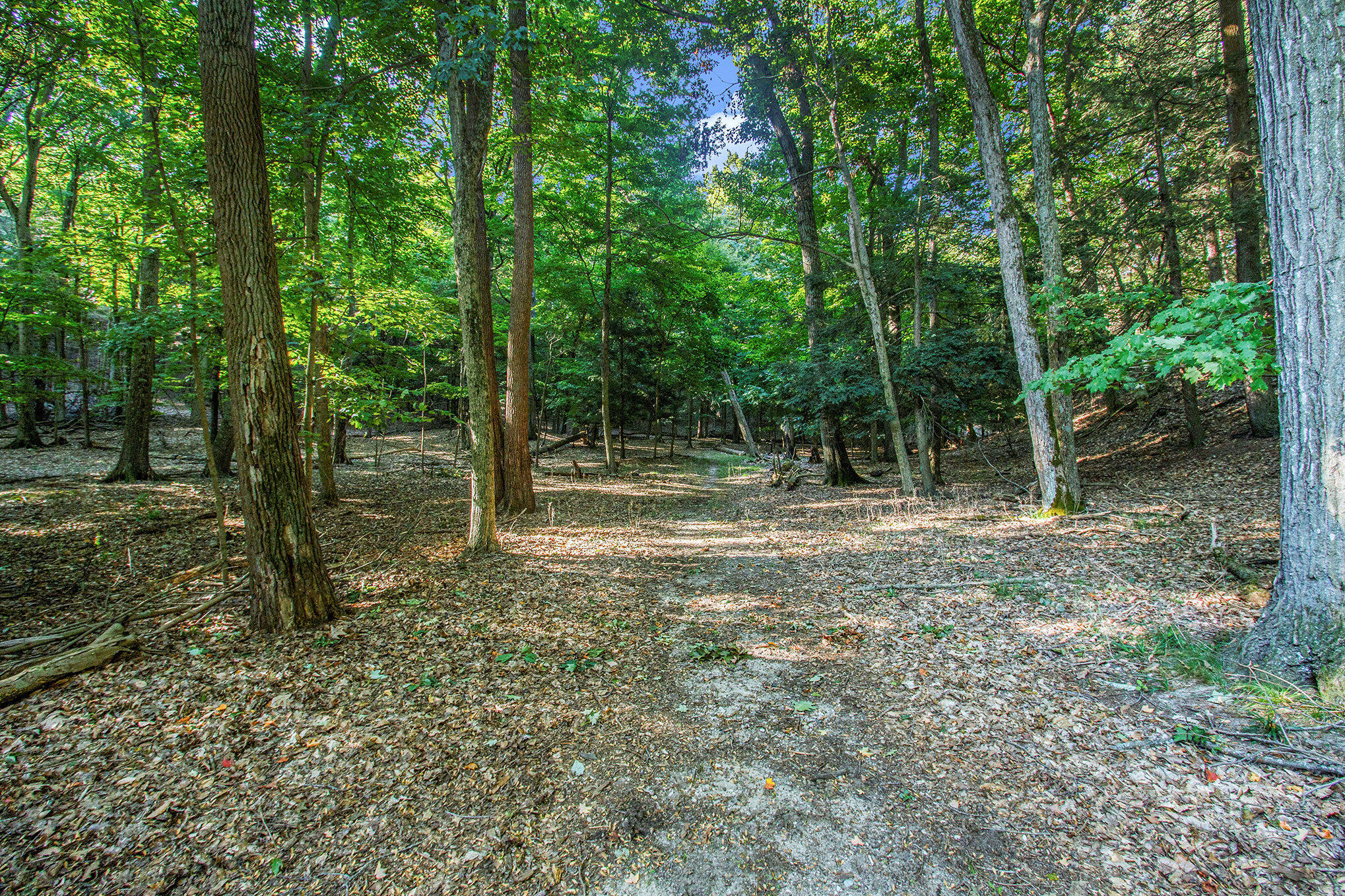 345 Dunegrass Ridge Drive