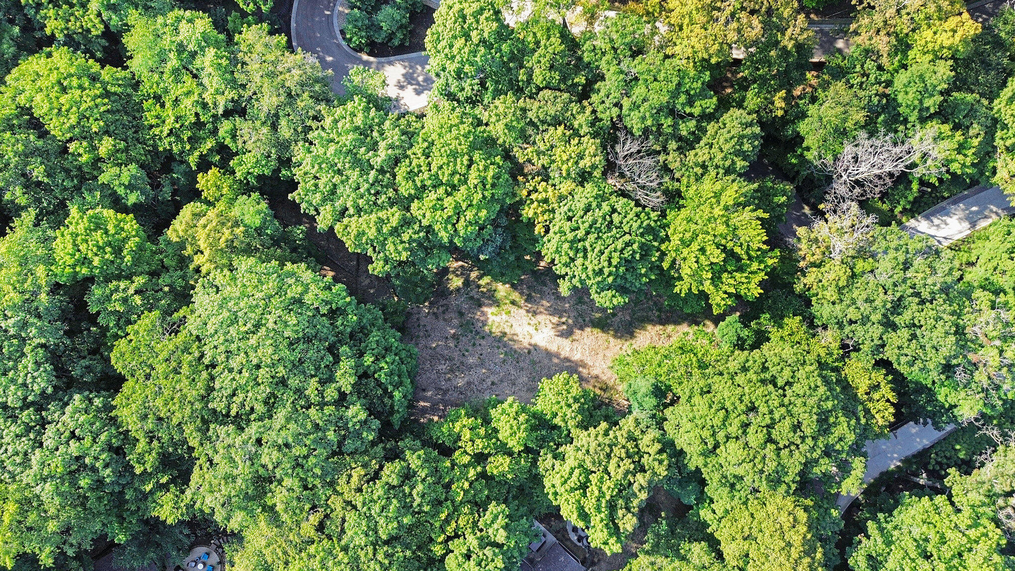 345 Dunegrass Ridge Drive