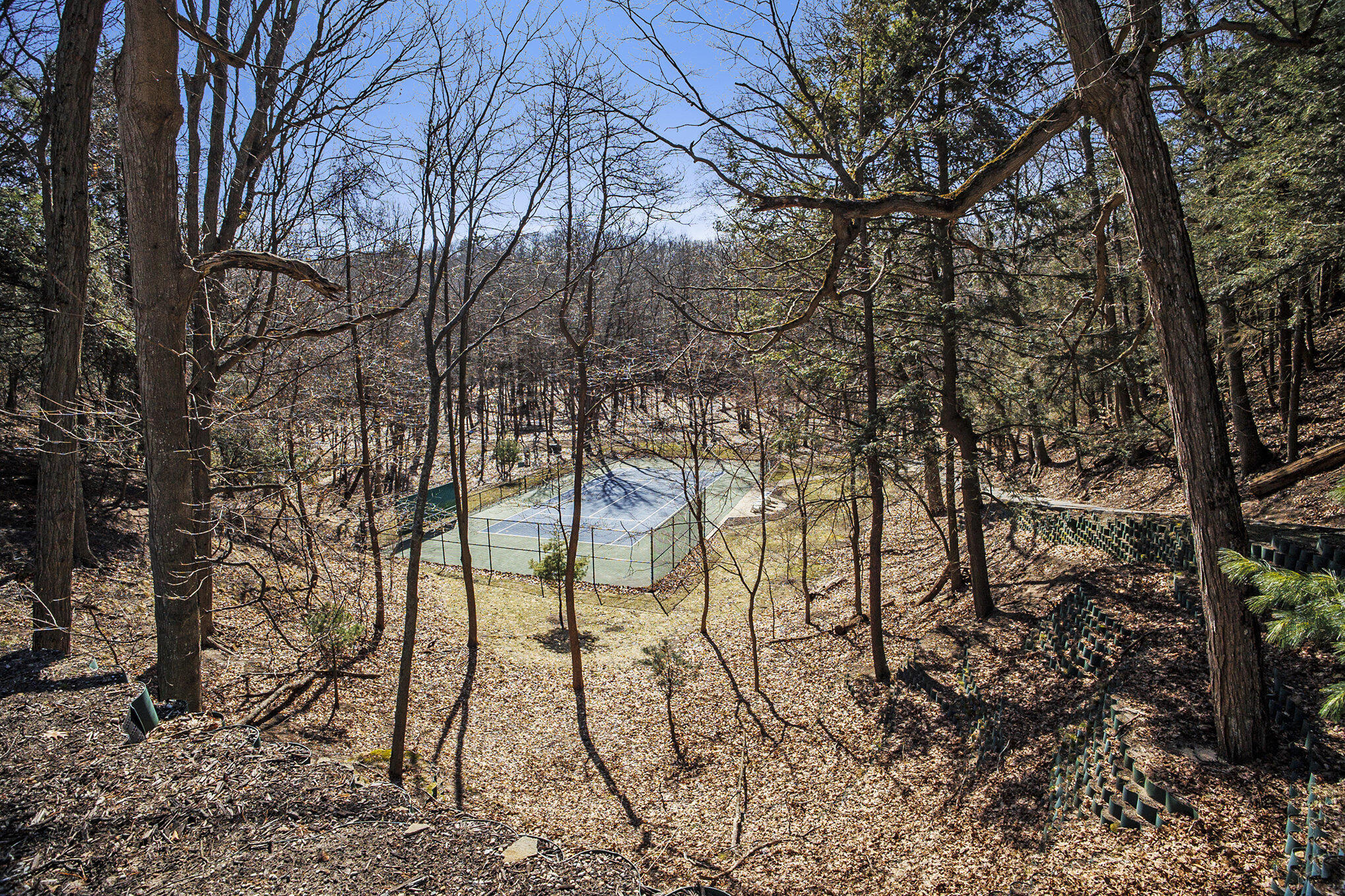 345 Dunegrass Ridge Drive