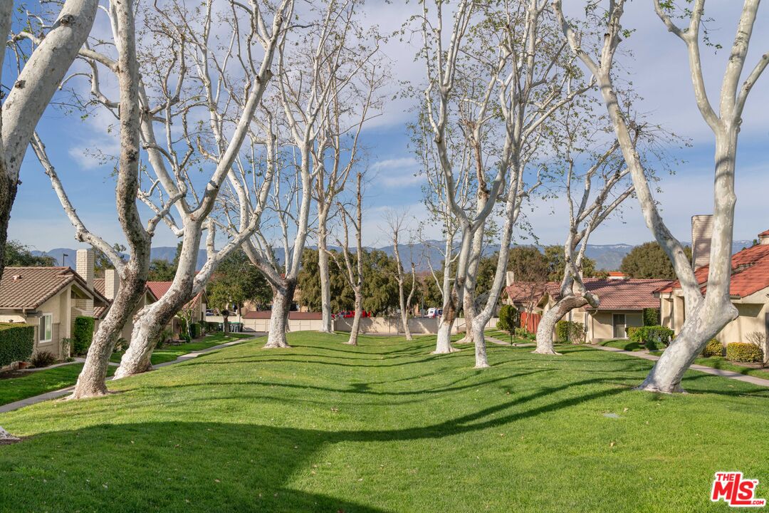 25358 Lawton Ave
