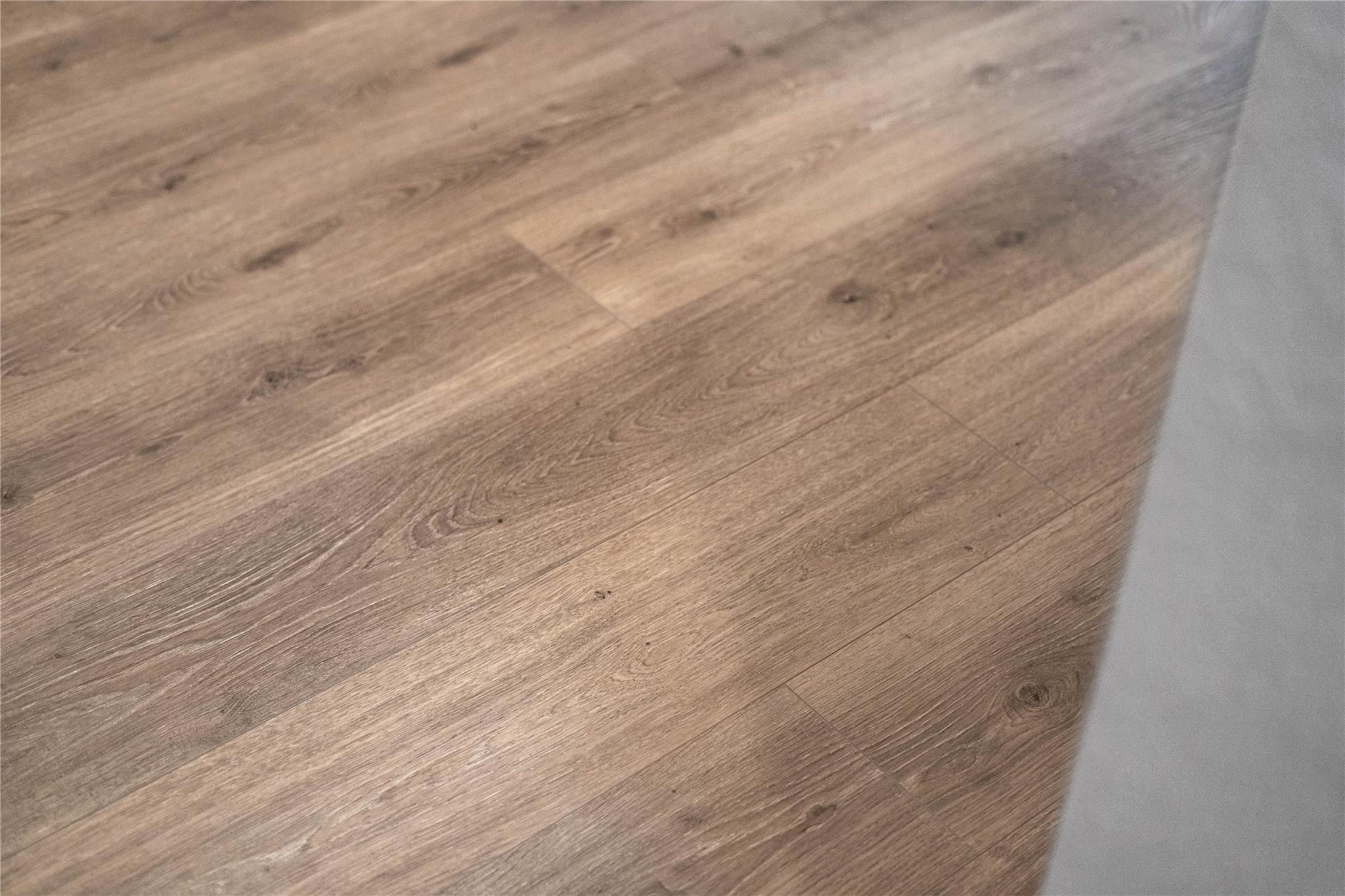 14651 Cedar Elm Court