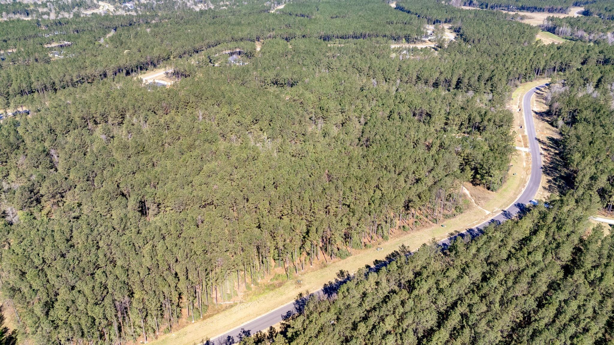 15363 Forest Grove Drive