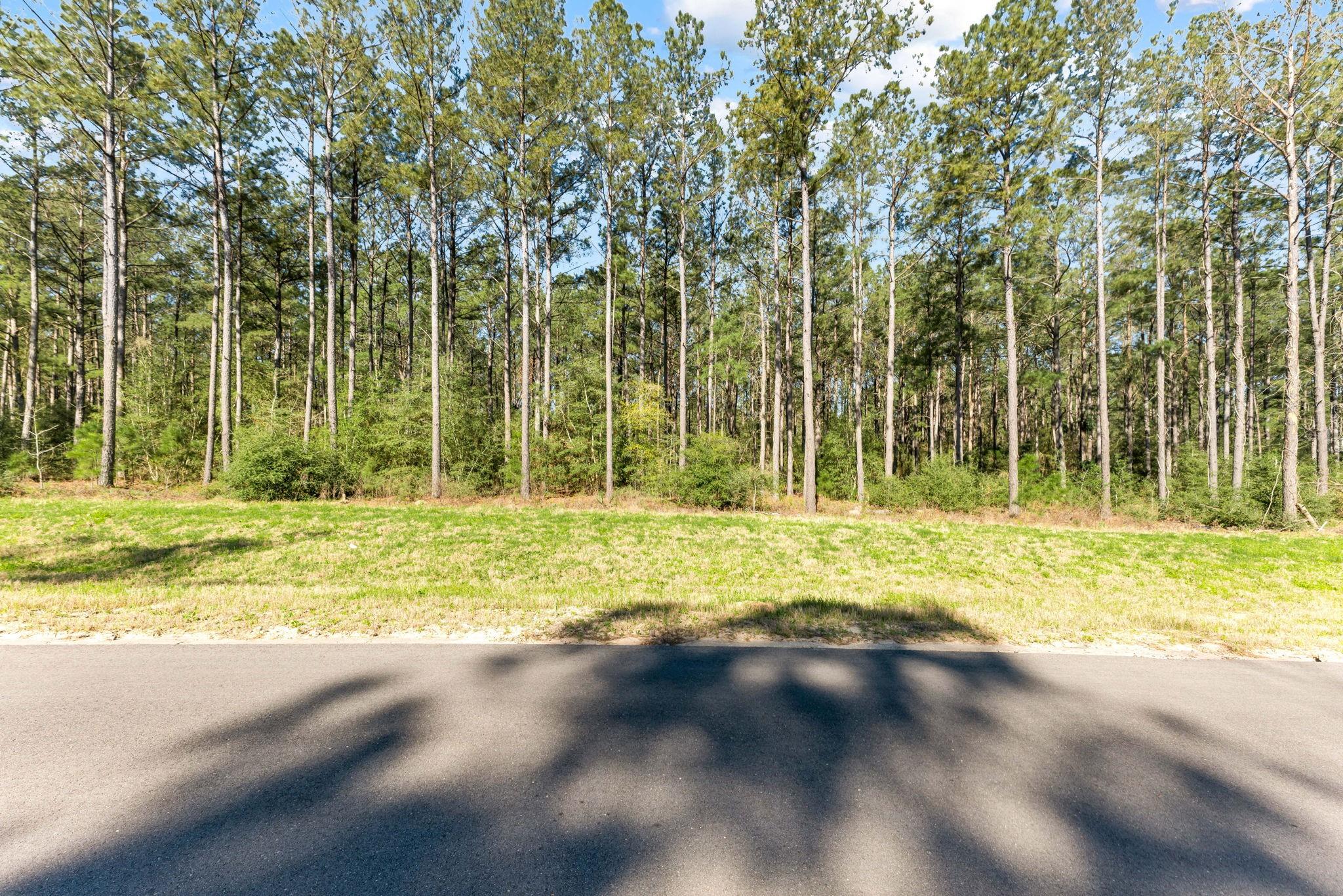 15363 Forest Grove Drive