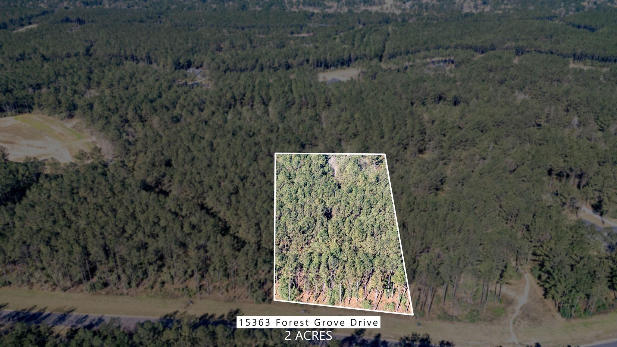 15363 Forest Grove Drive