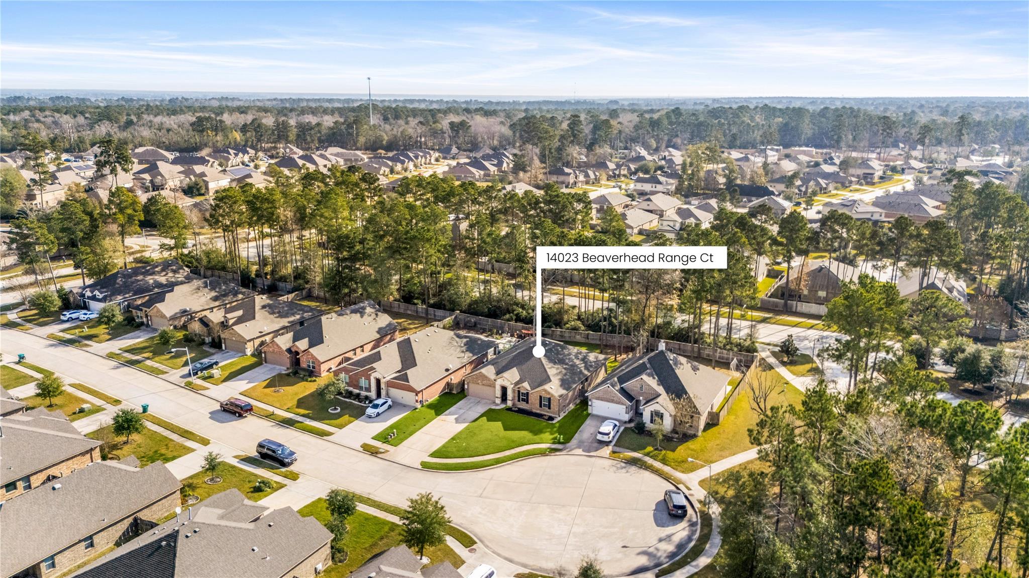 14023 Beaverhead Range Court