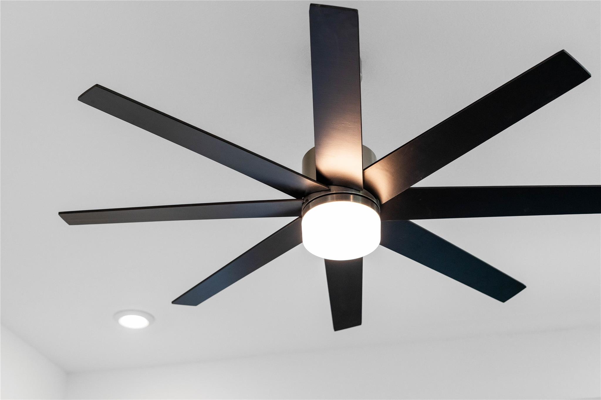 14607 Cedar Elm Court