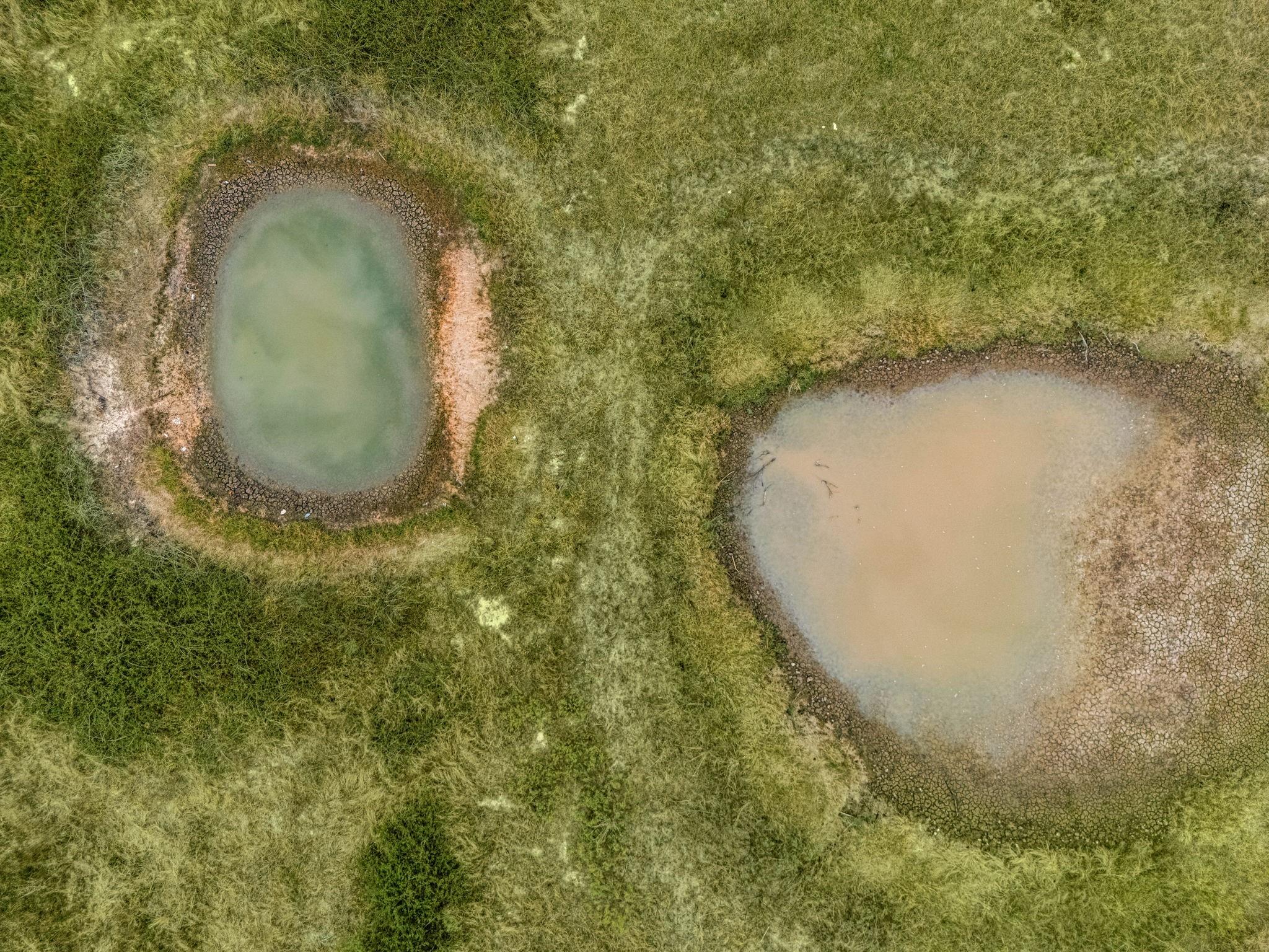 1187 & 1201 Ramsey Road