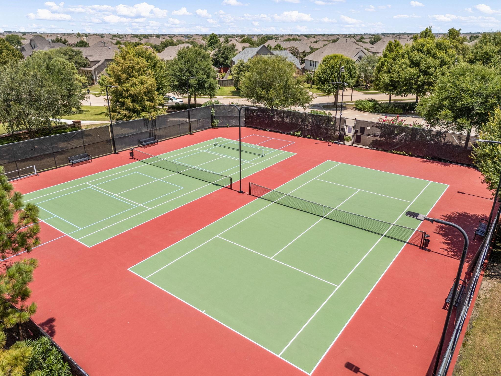 24826 Tall Juniper
