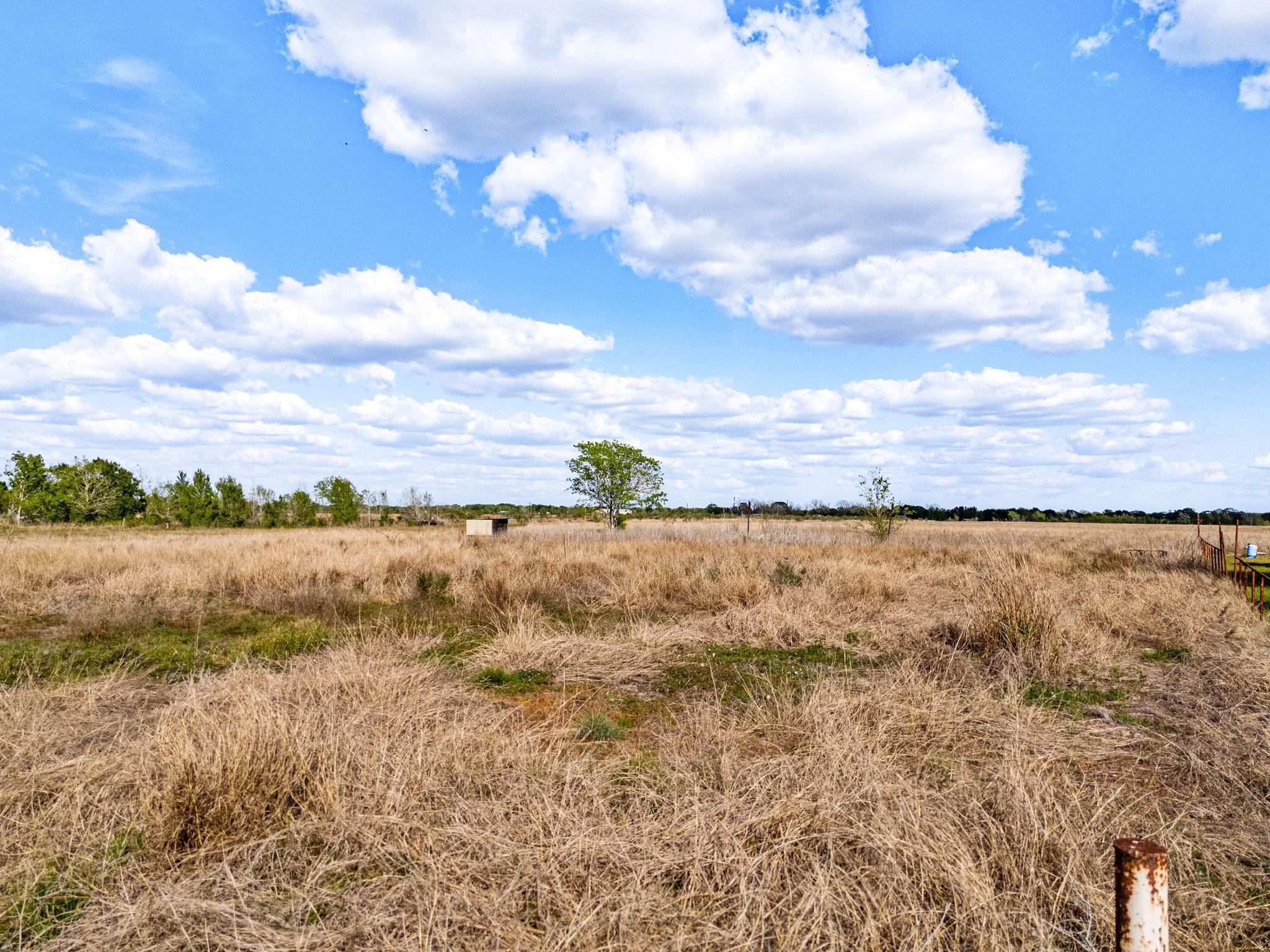 2161 County Road 227