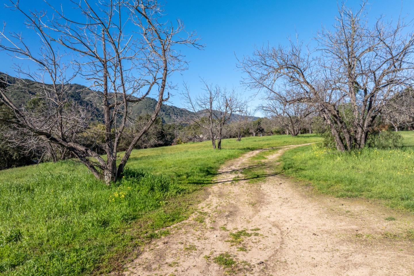 29 East Carmel Valley Road